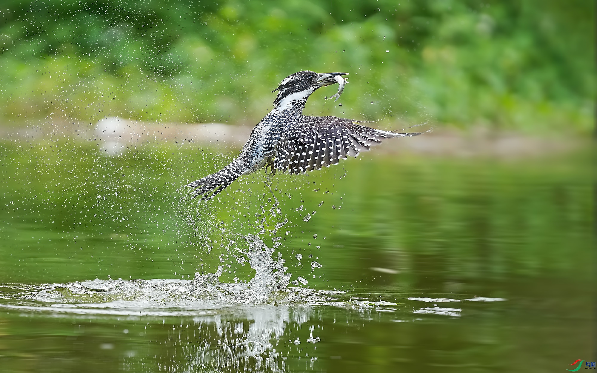 DSC01244 ����.jpg