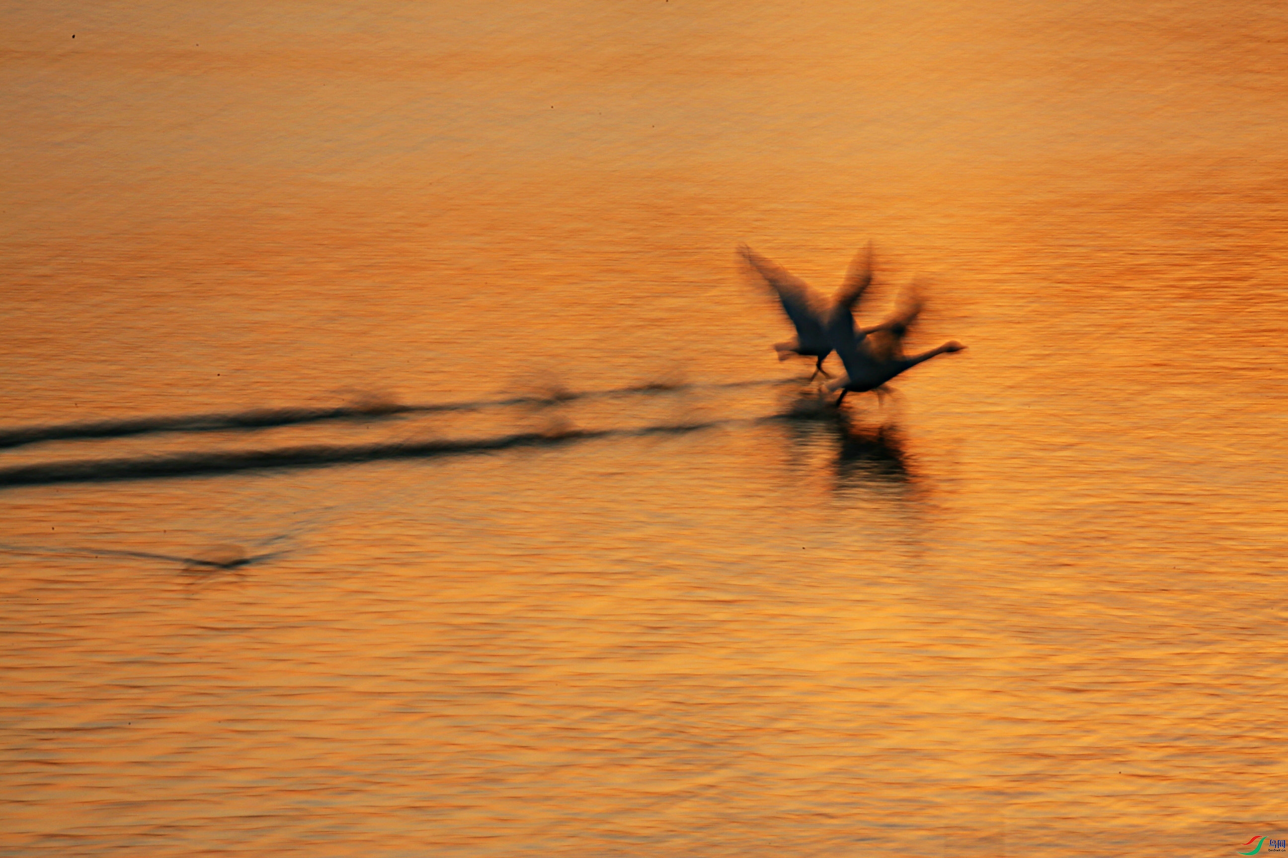 BG3A3816_����.jpg