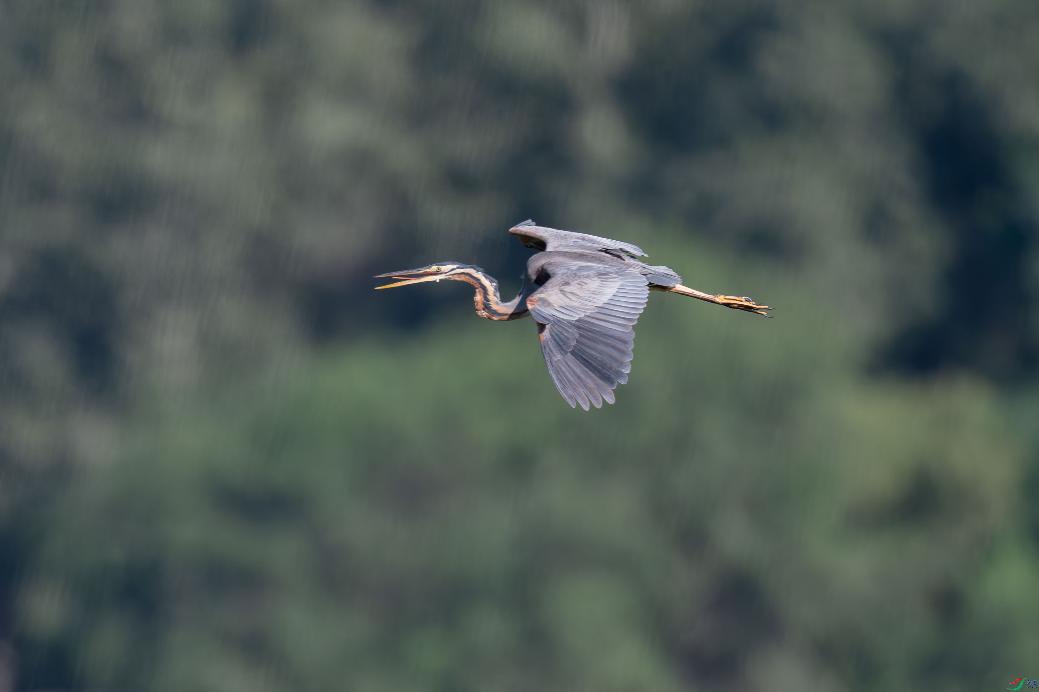 DSC_6354.jpg