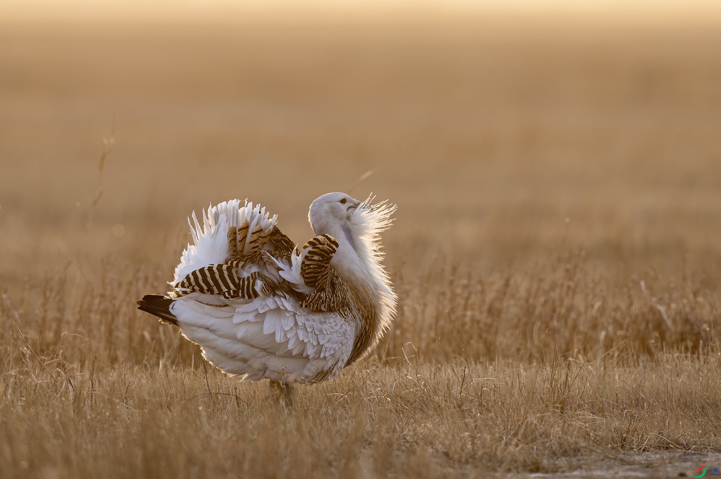 AC3I3585 ����.jpg