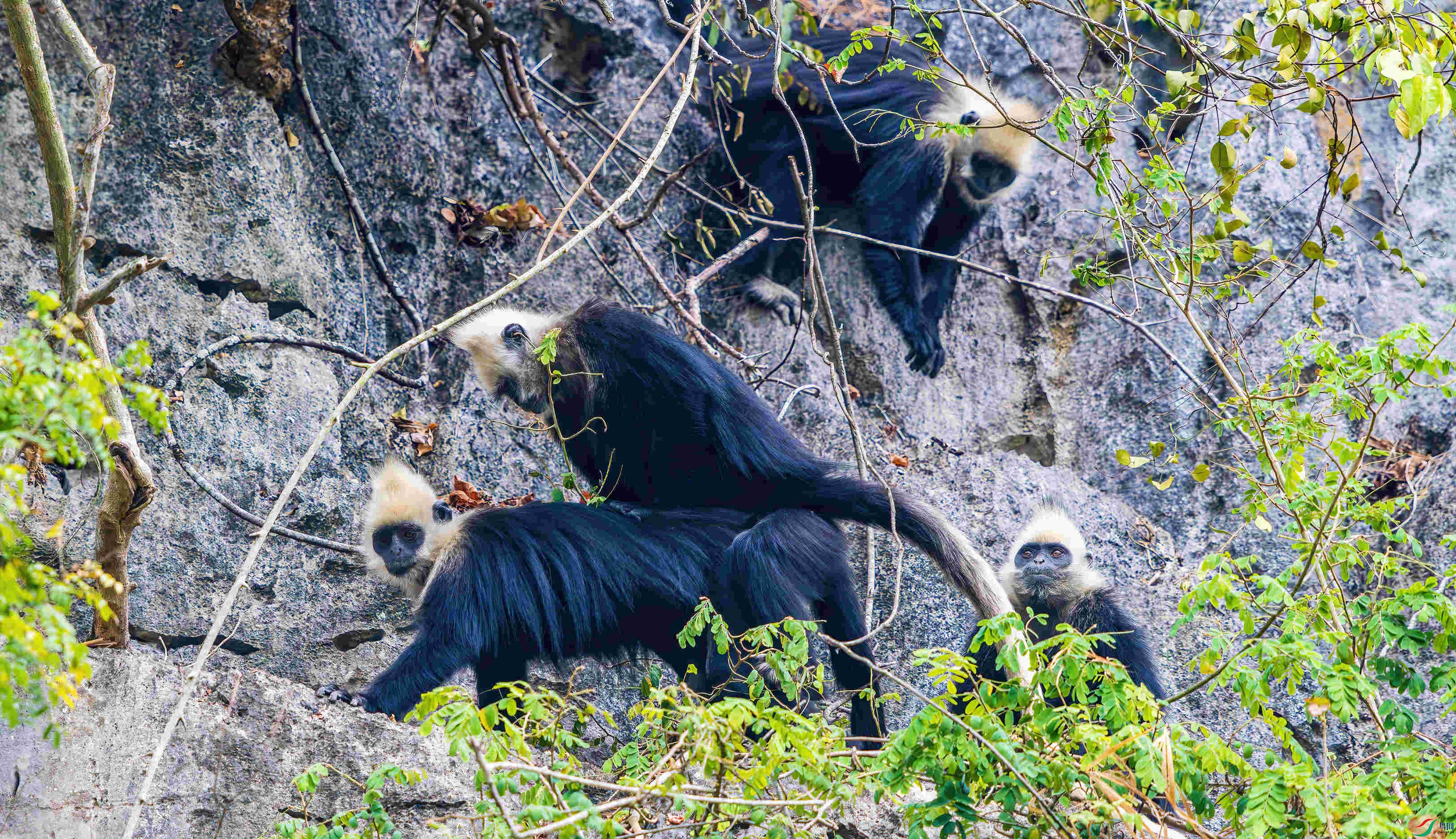 _DSC3229 (2)-����ǿ-NR_1.JPG