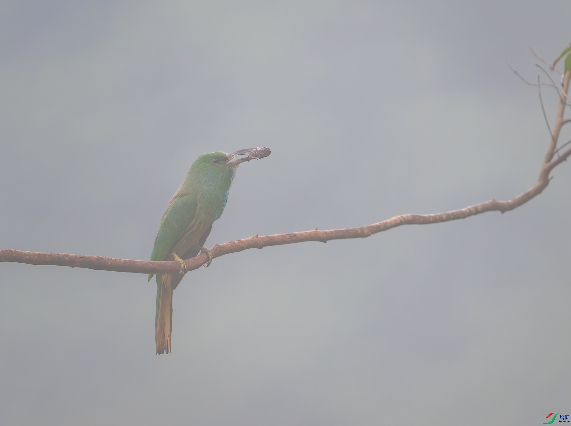 DSC_1459.jpg