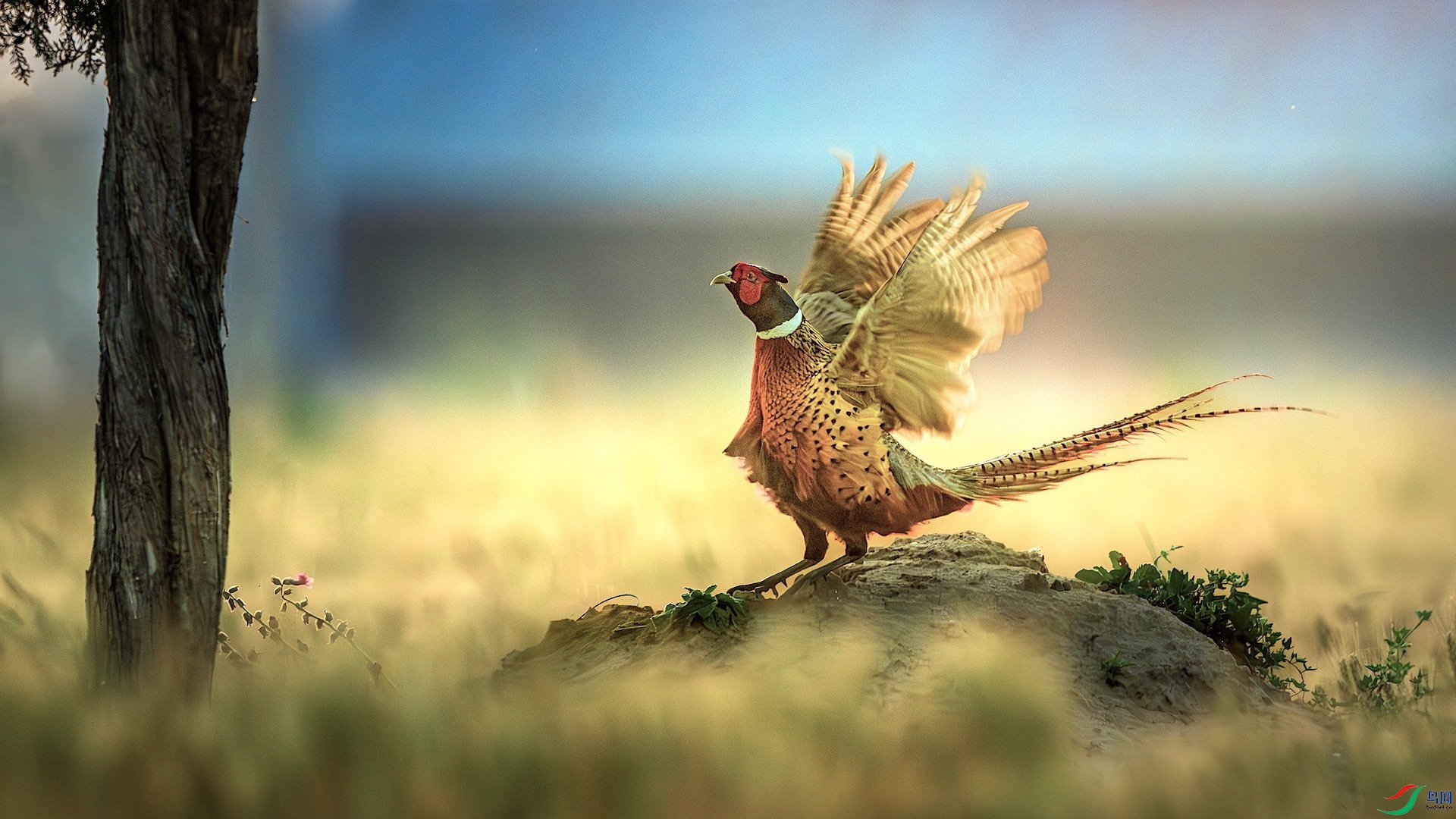 1-2_DSC9151-����ǿ-NR ���� 2.jpg222 2.jpeg