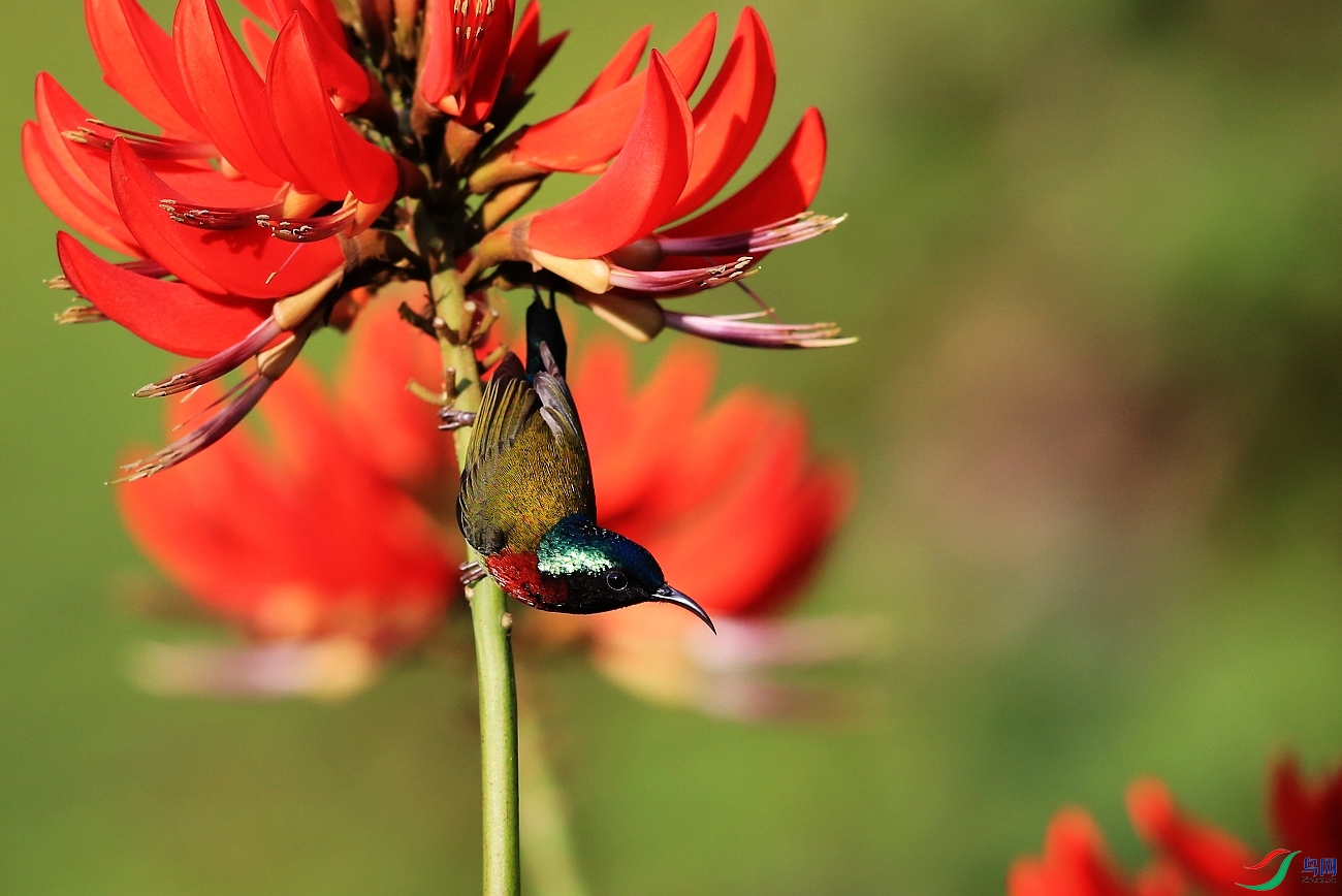 ���� IMGL6944.JPG