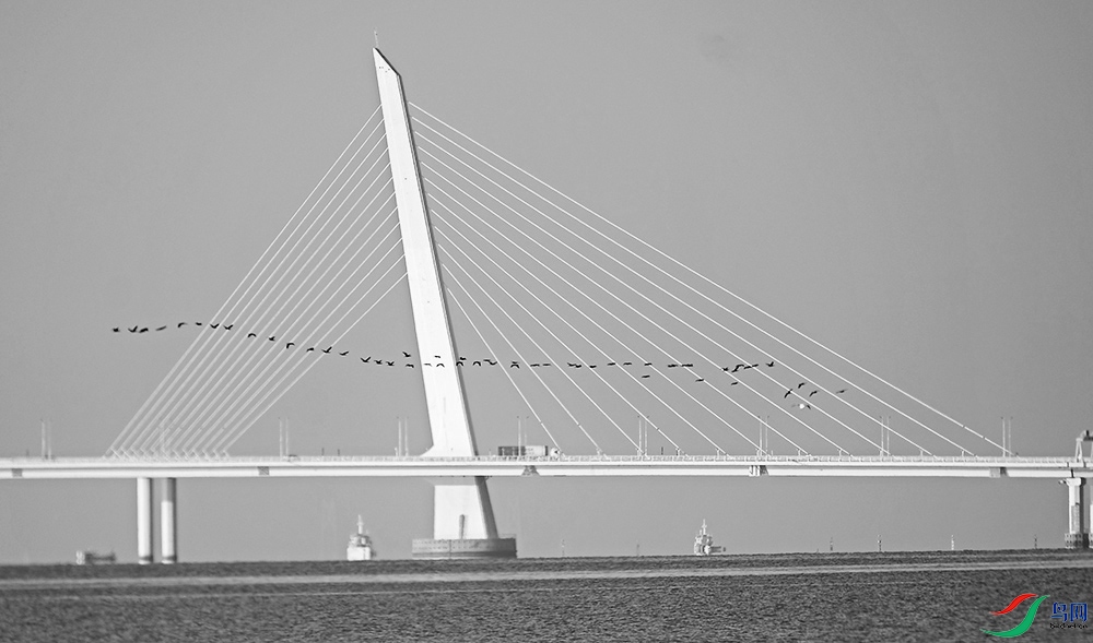 DSCF7191.1.jpg