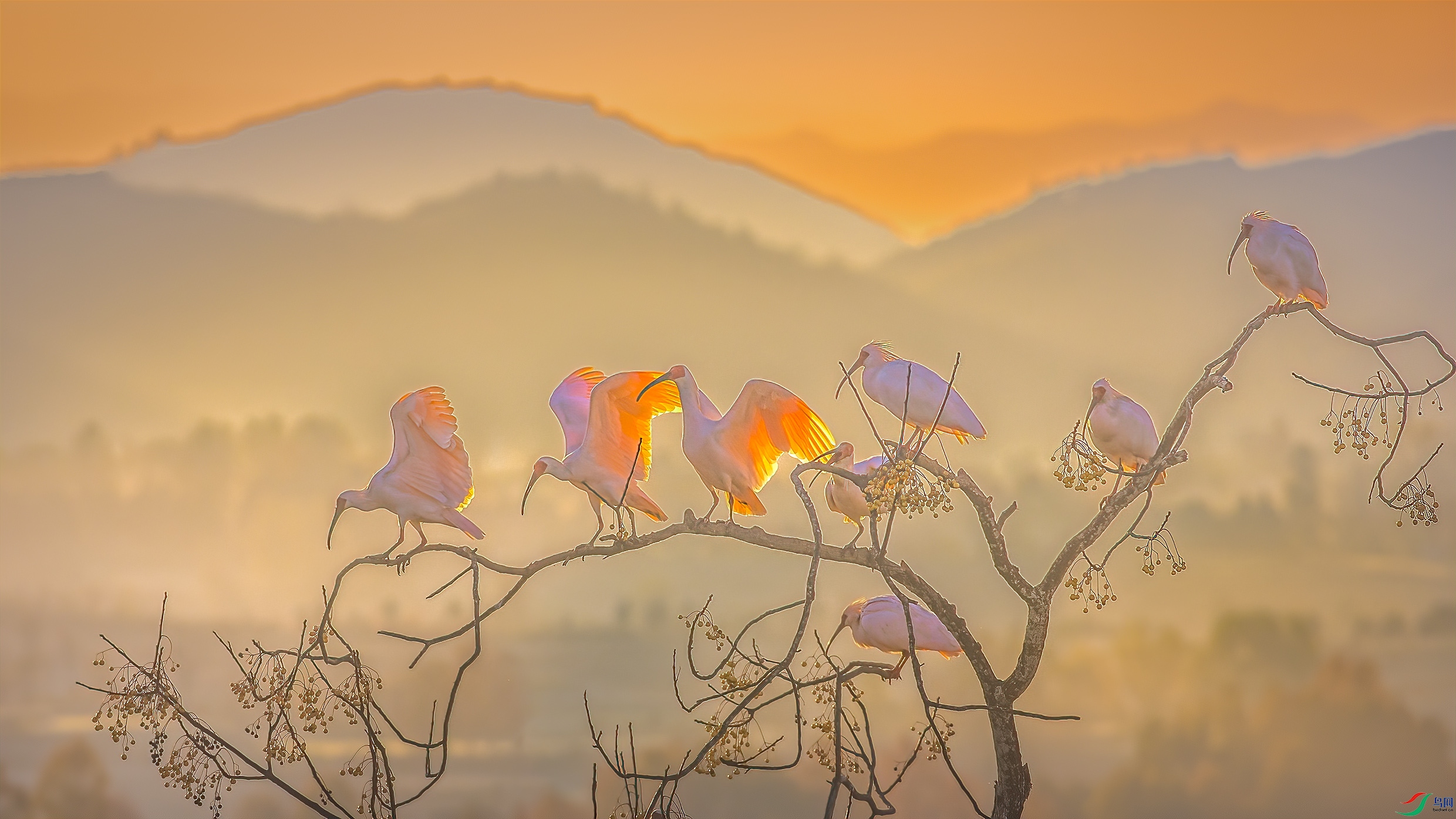 G81A8977 ����1.jpg