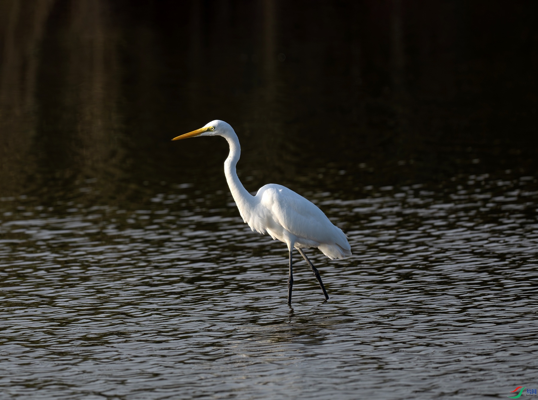 _DSC3826f.jpg