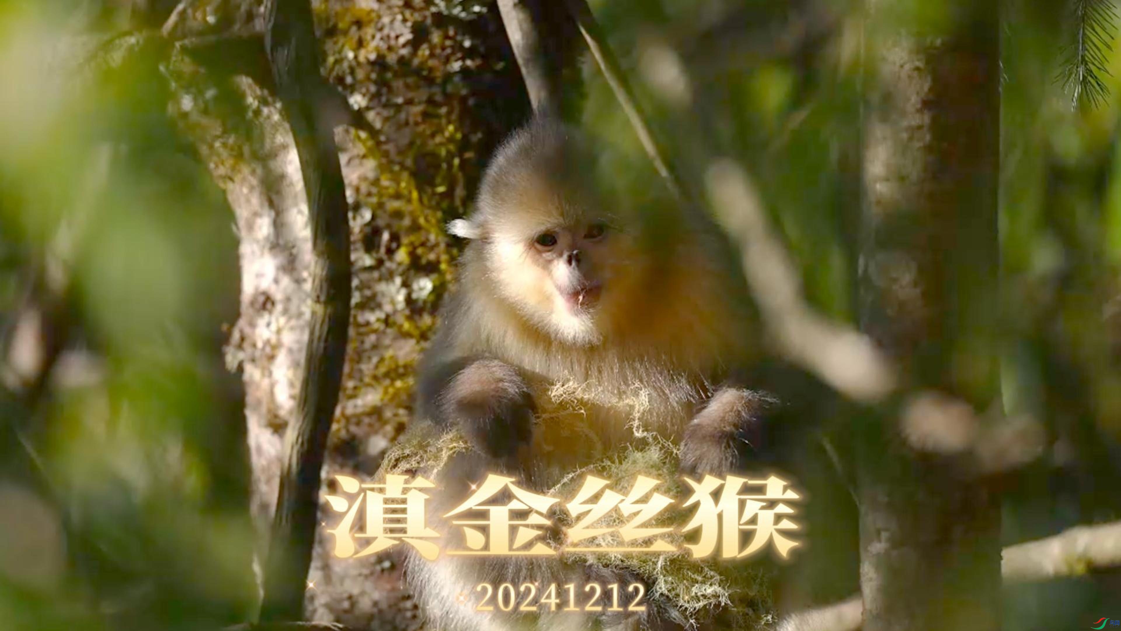 12��17�� (1)-����.jpg