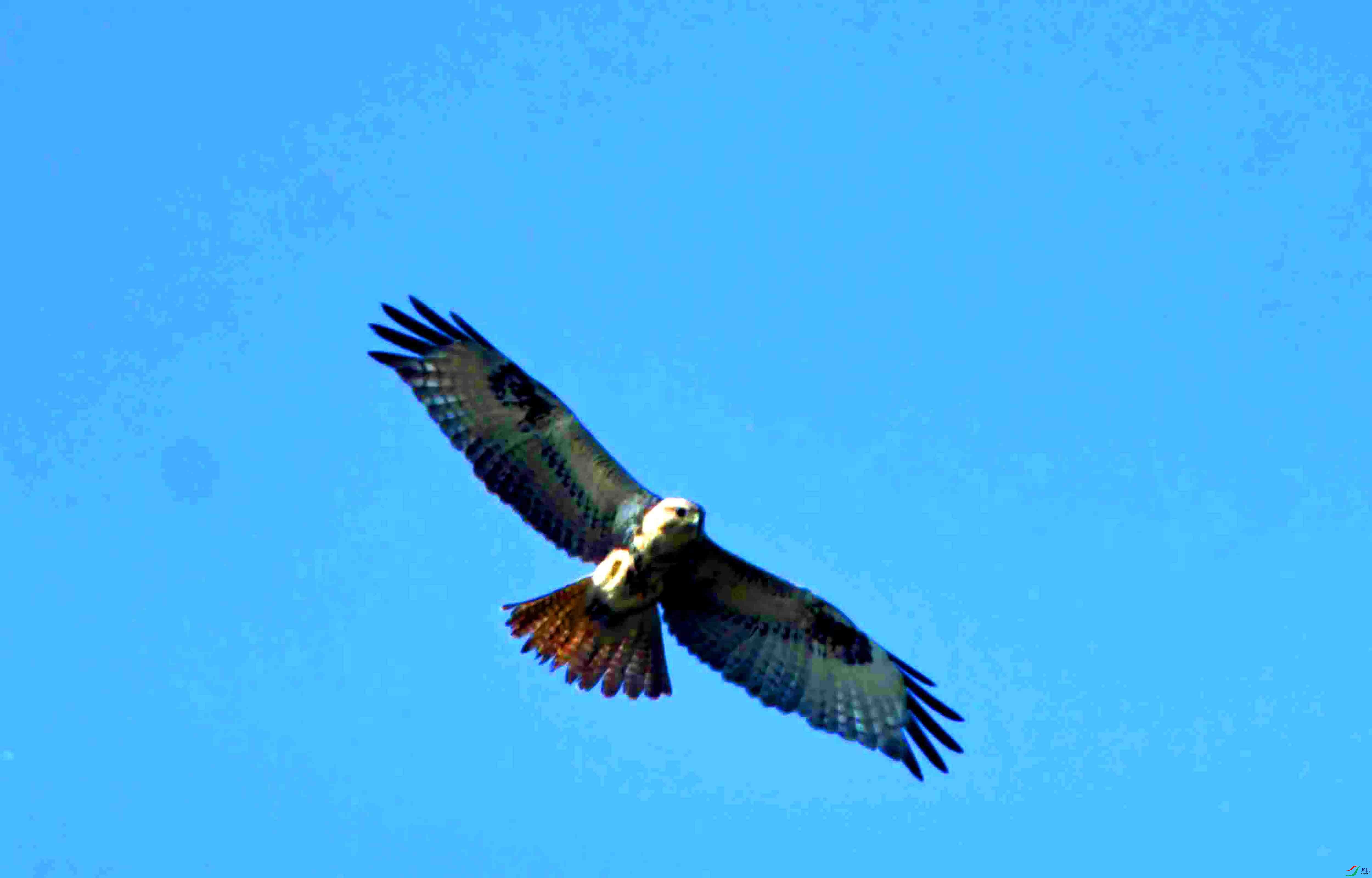DSC_2439.JPG
