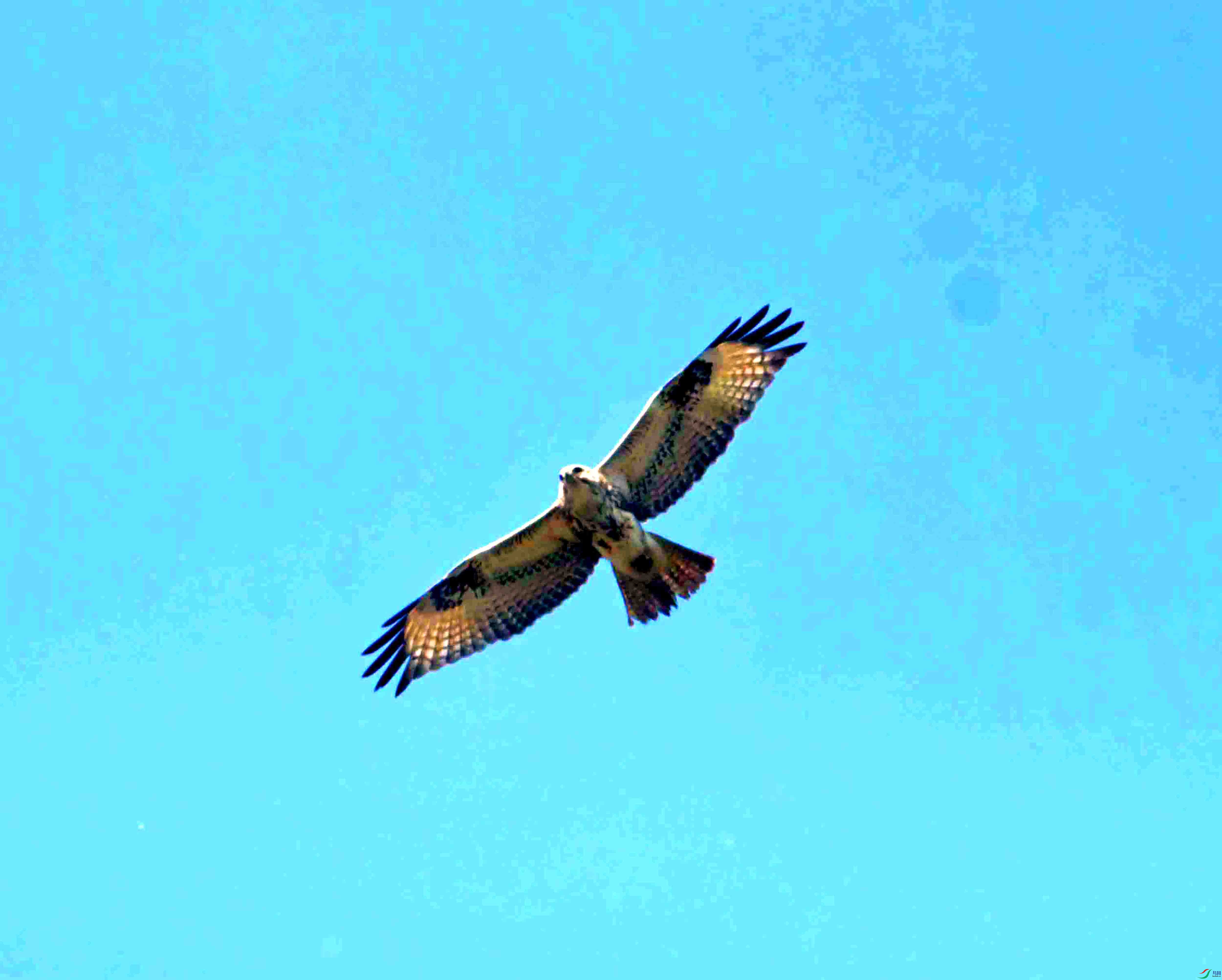 DSC_2457.JPG