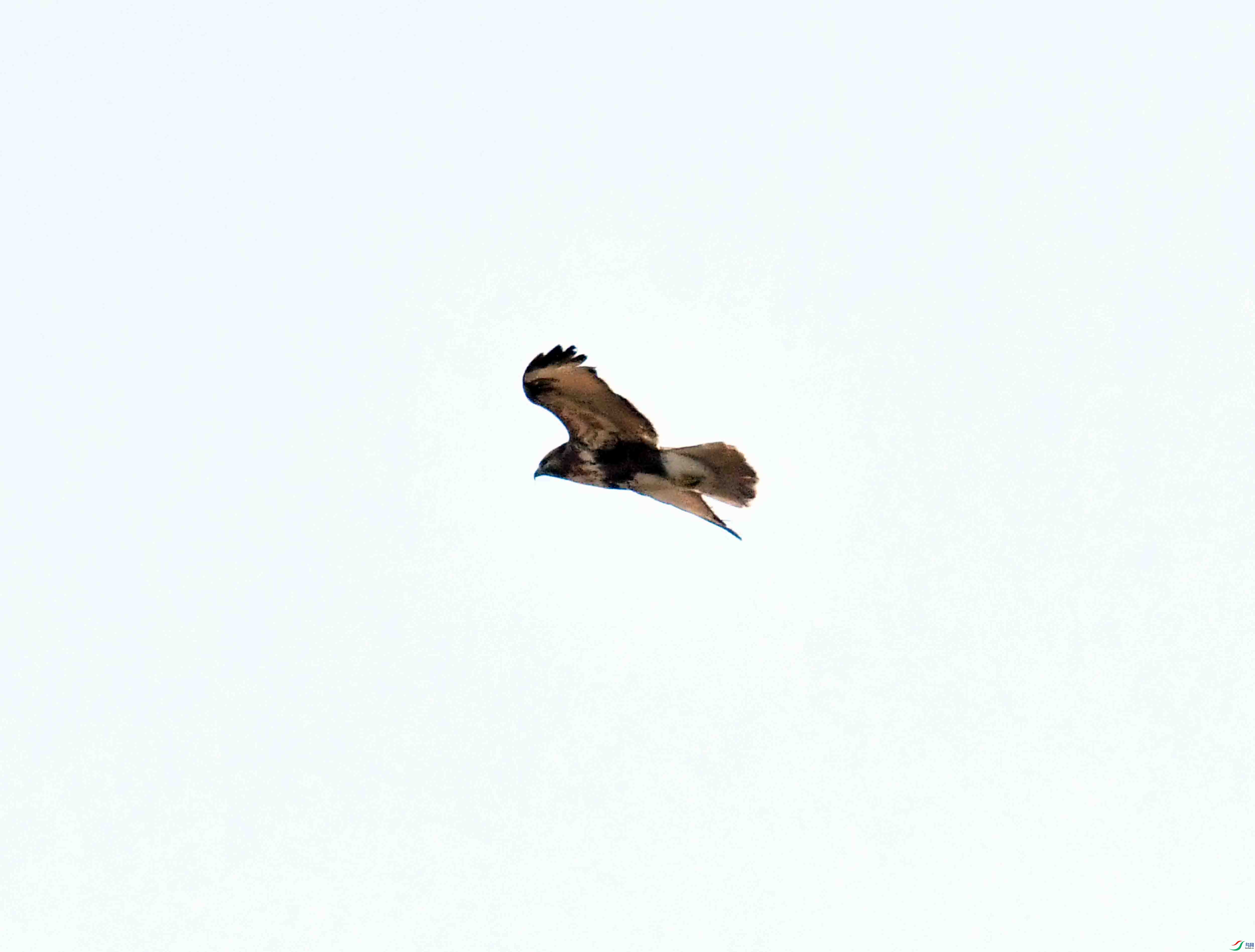 DSC_3589.JPG