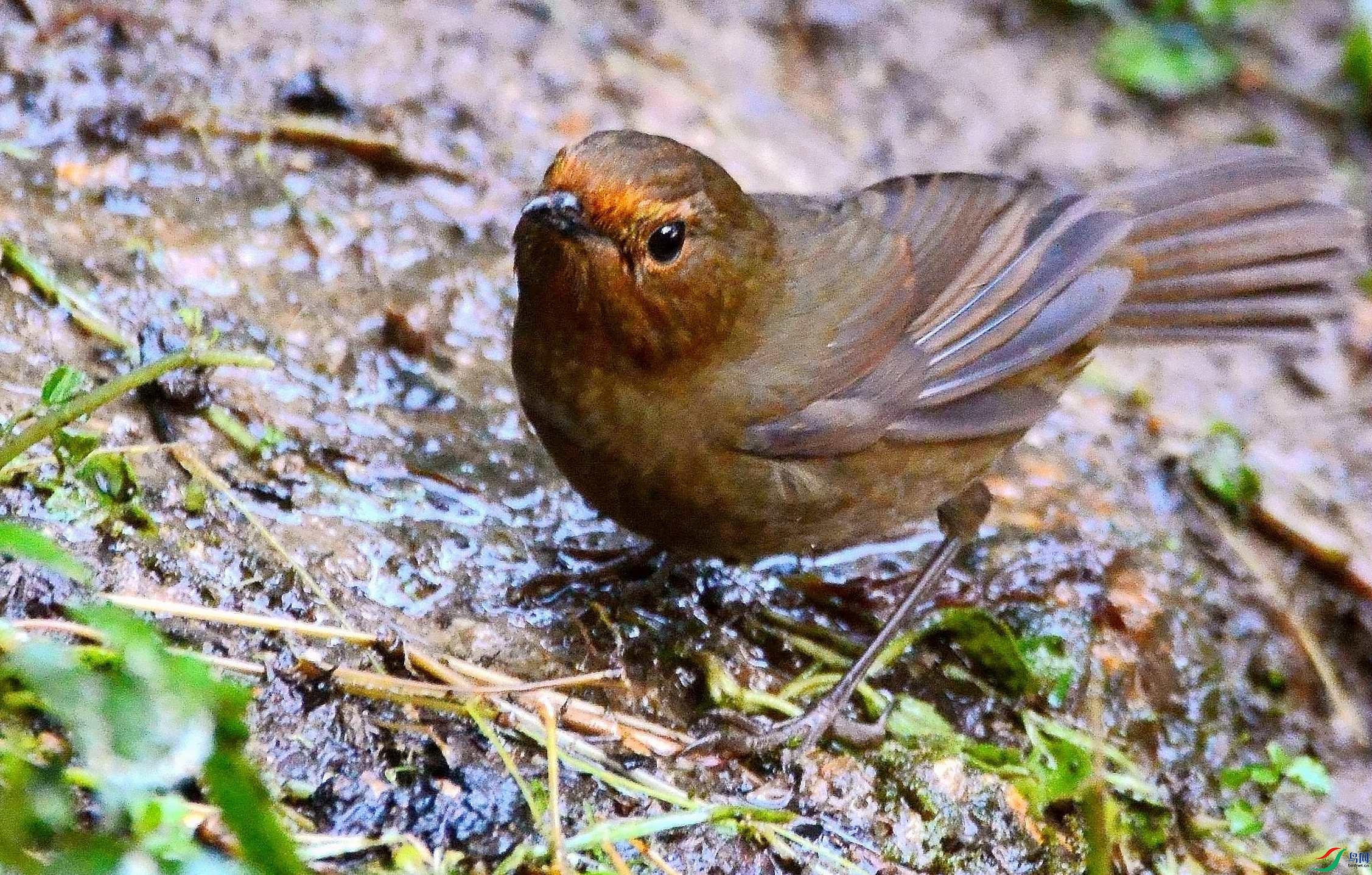DSC_6704.JPG