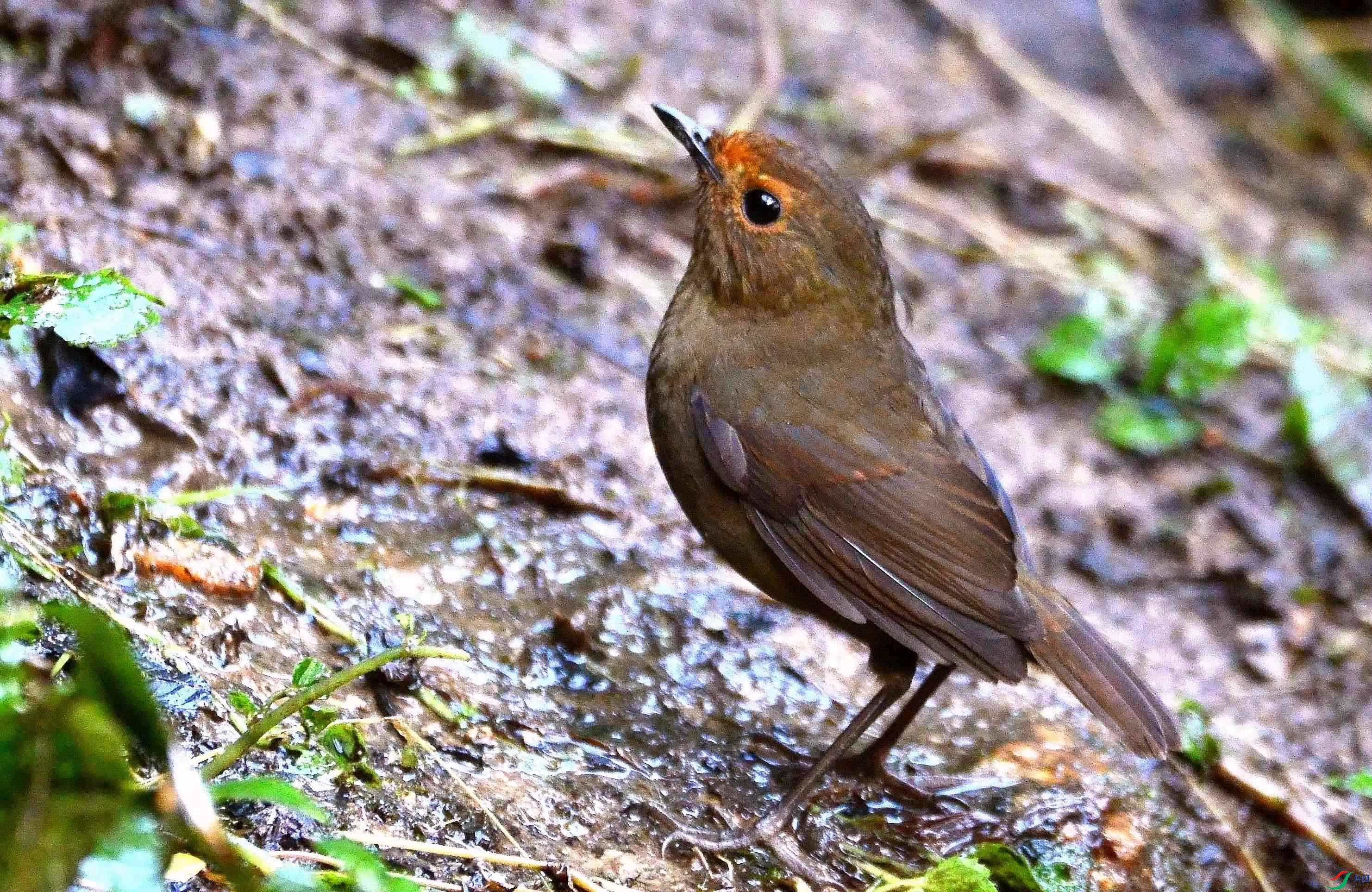 DSC_6708.JPG