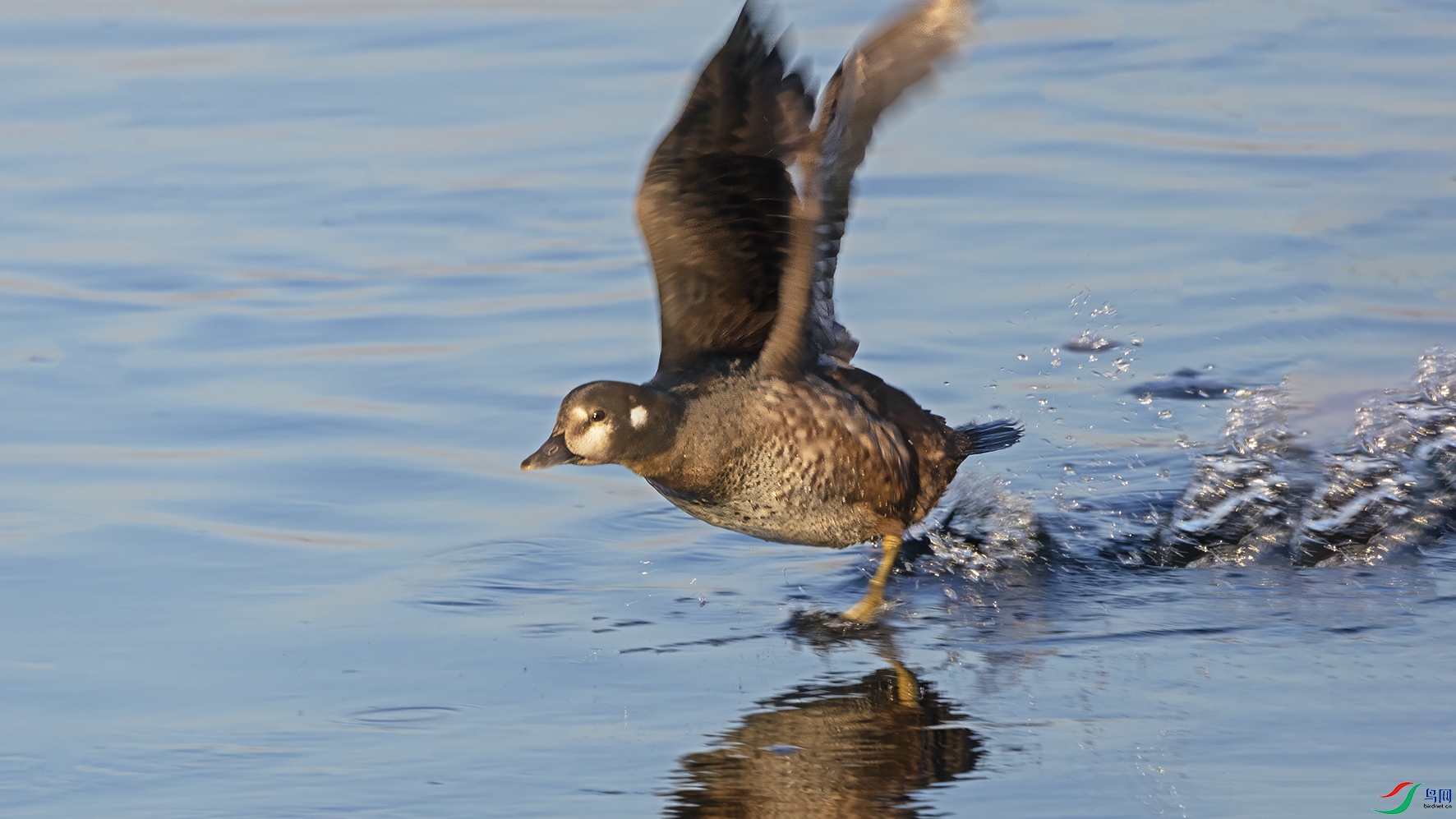 3U2A8245 ���� 2.jpg