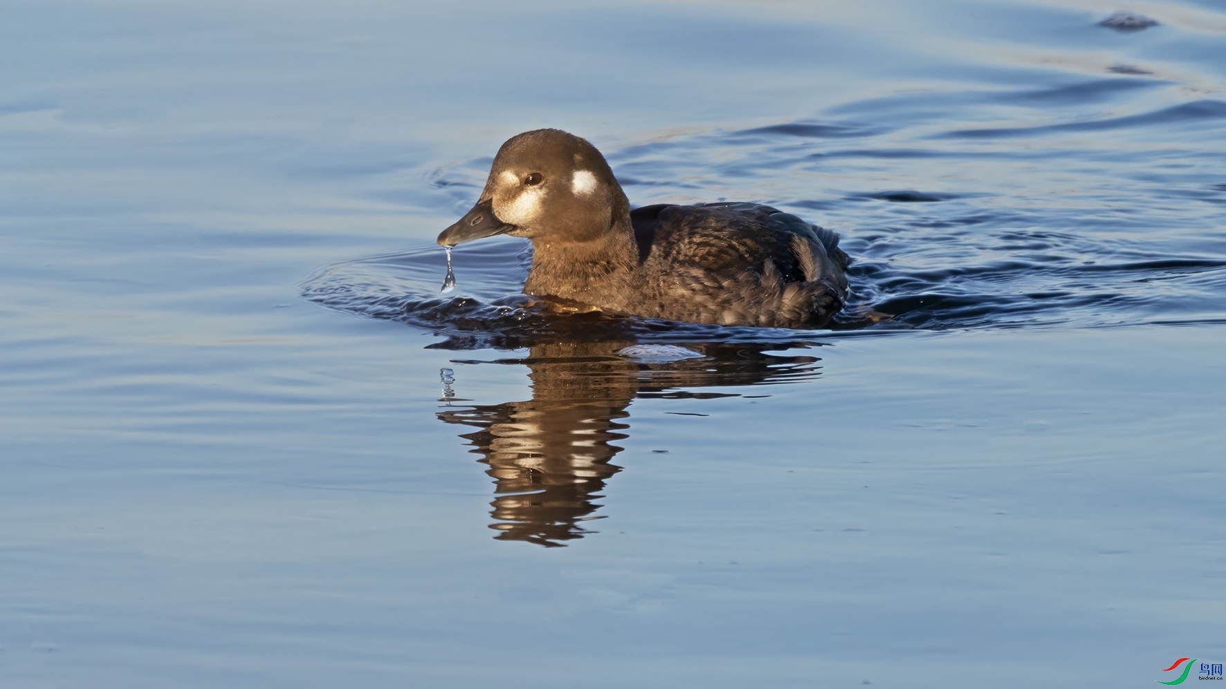 3U2A7537 ���� 2.jpg