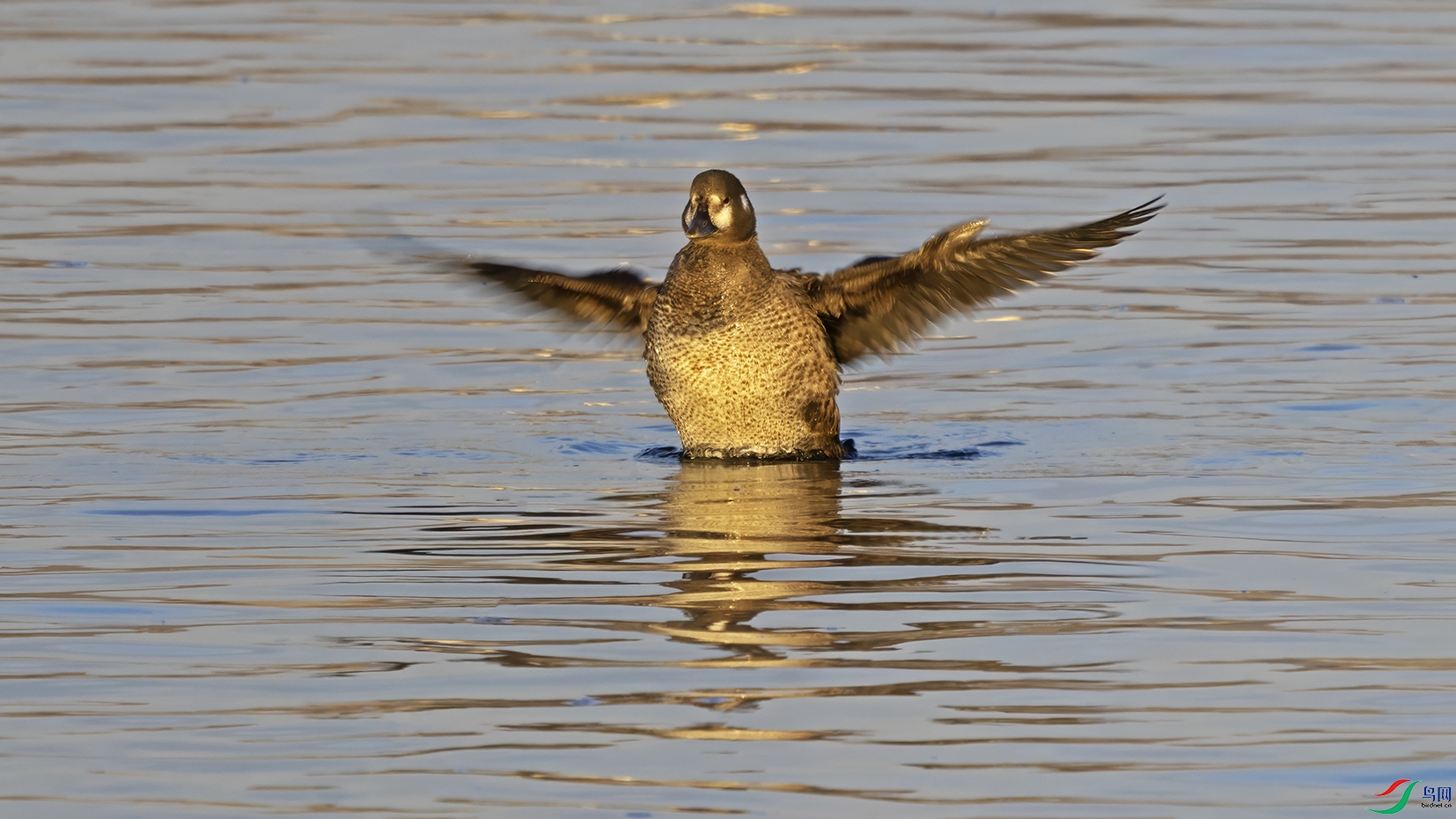 3U2A9078 ���� 2.jpg