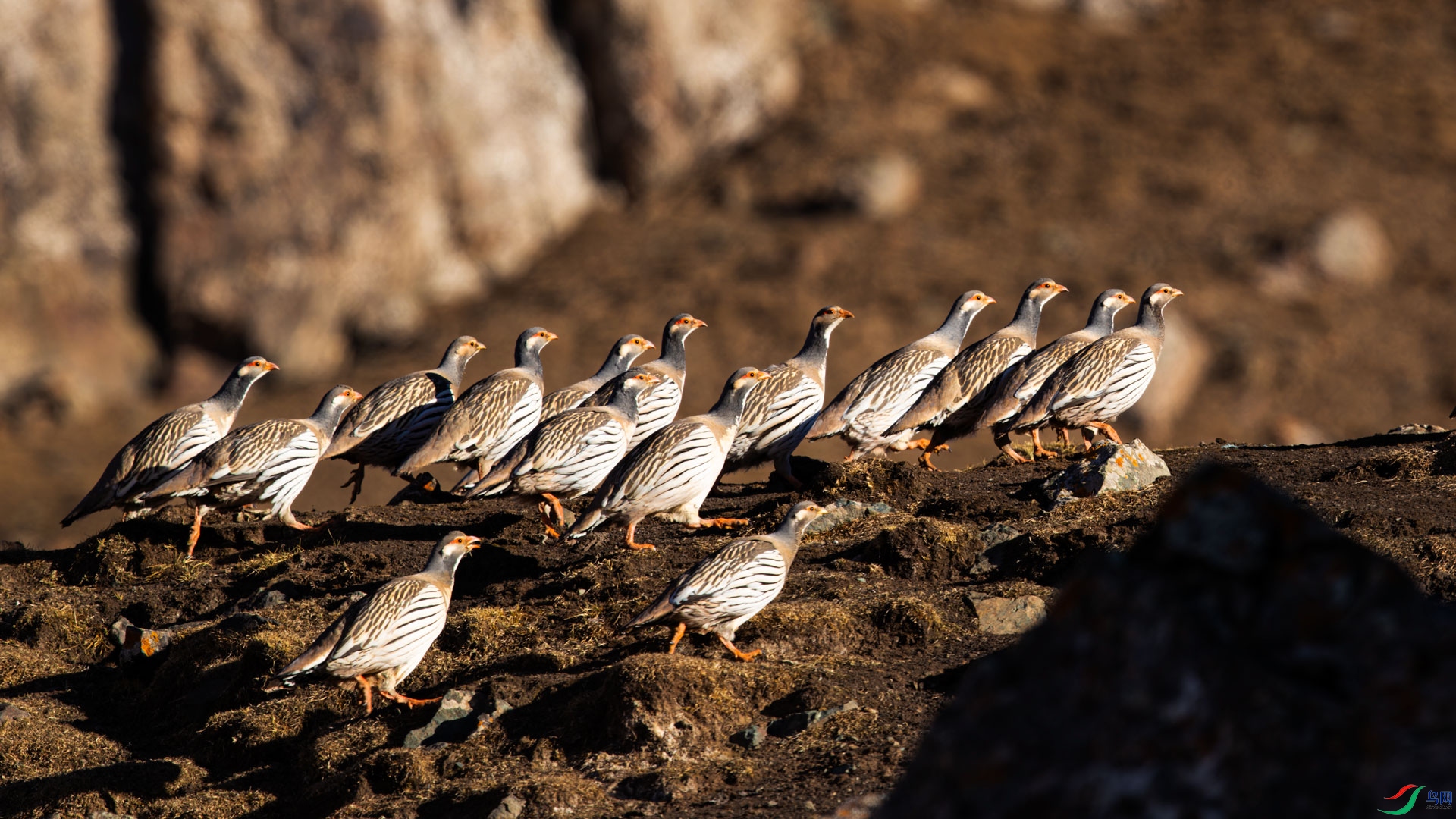_R2I0173-CR2_DxO_DeepPRIMEXD-1.jpg