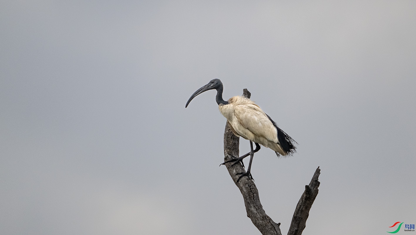 _DSC5739 ����.jpg