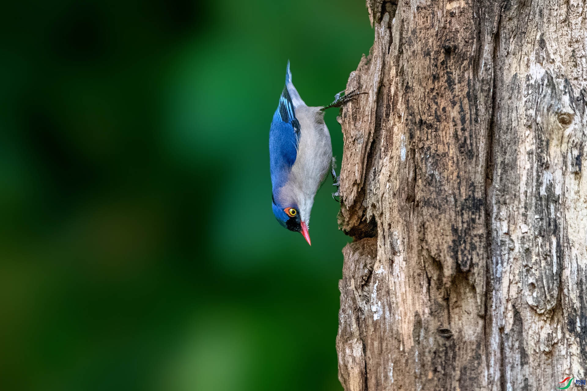 _AUU6355�޶�(24.2.20).jpg