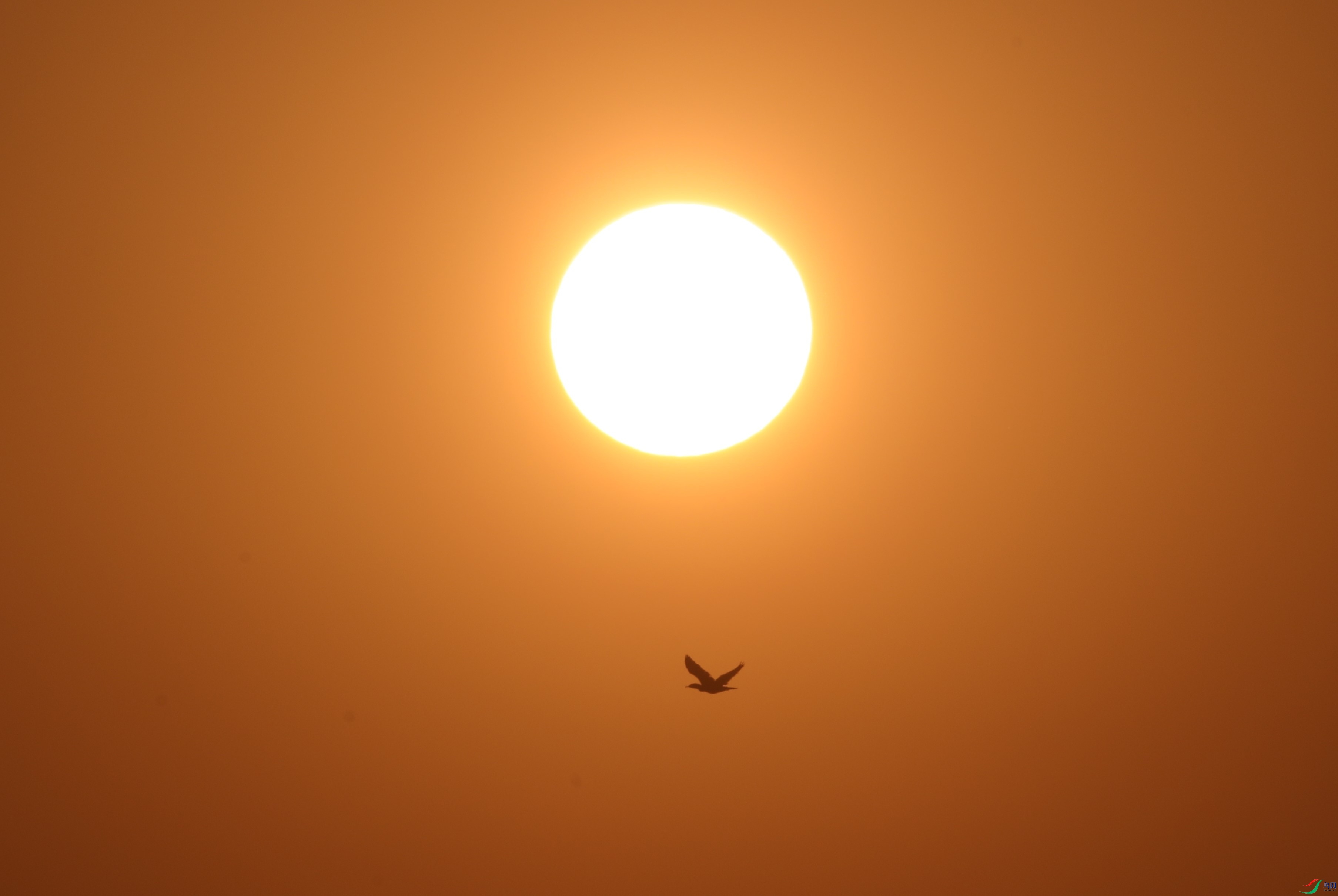 BL7A7476.JPG