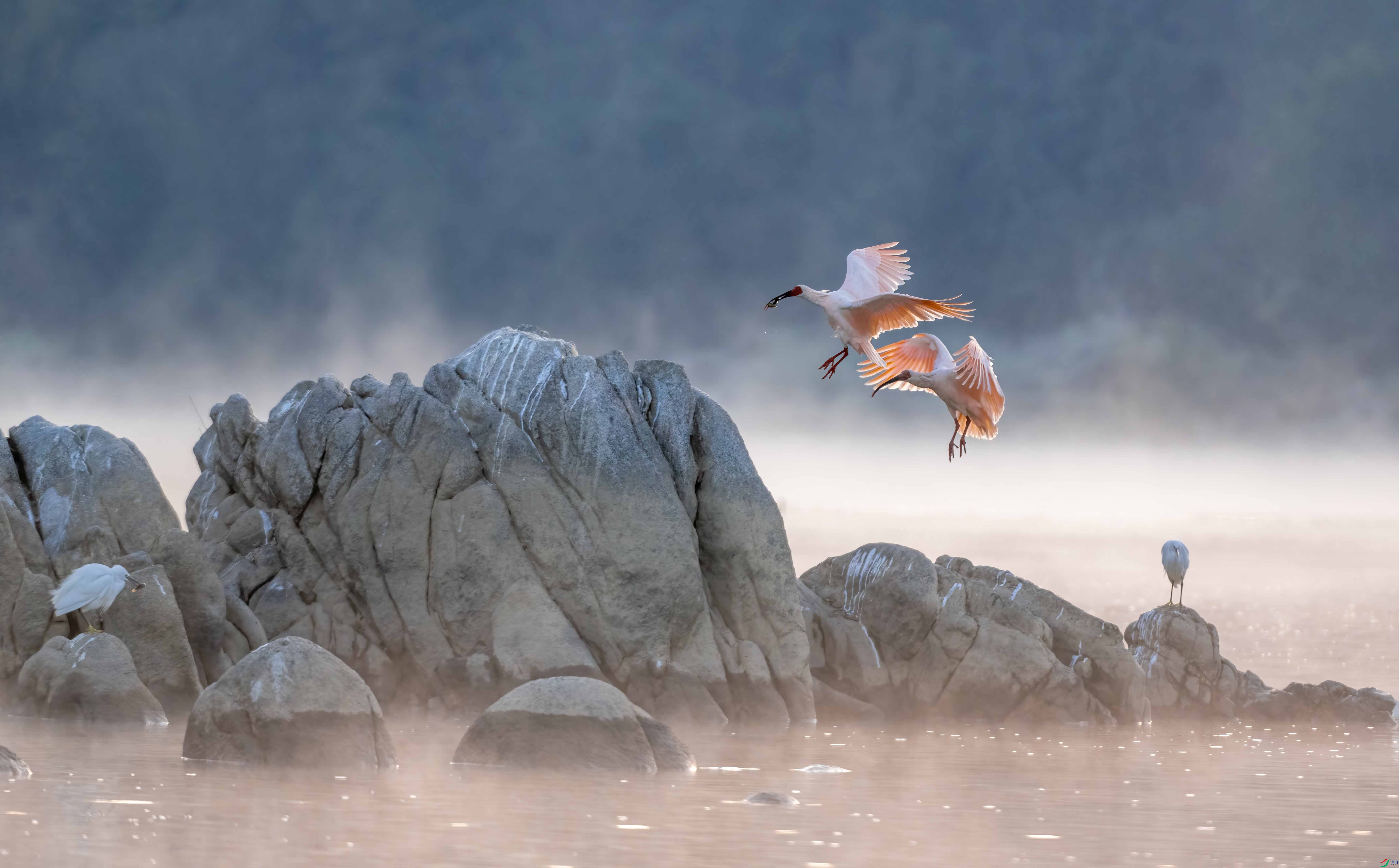 DSC_7681 ����.jpg