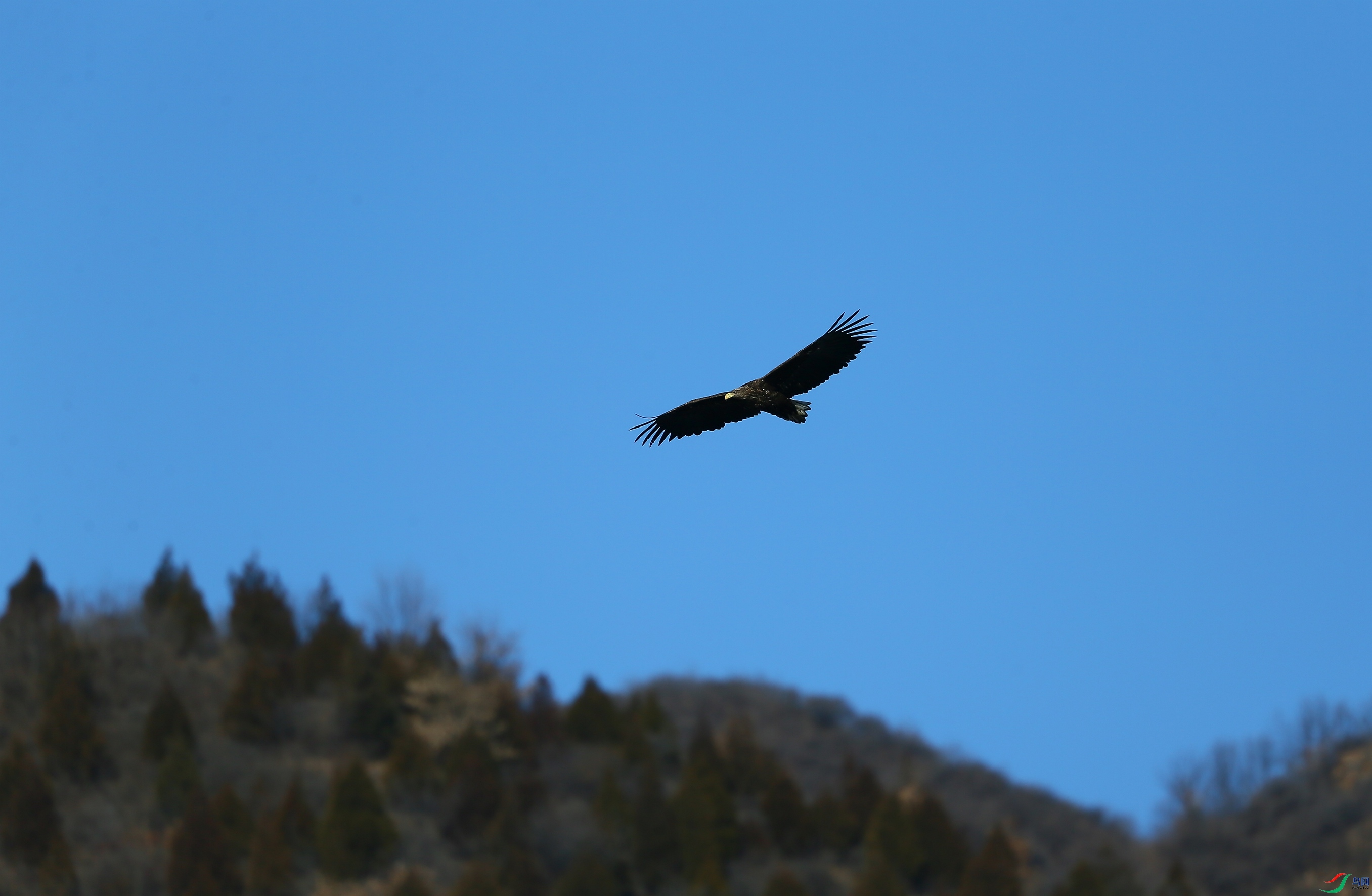 ��β���� (9).JPG