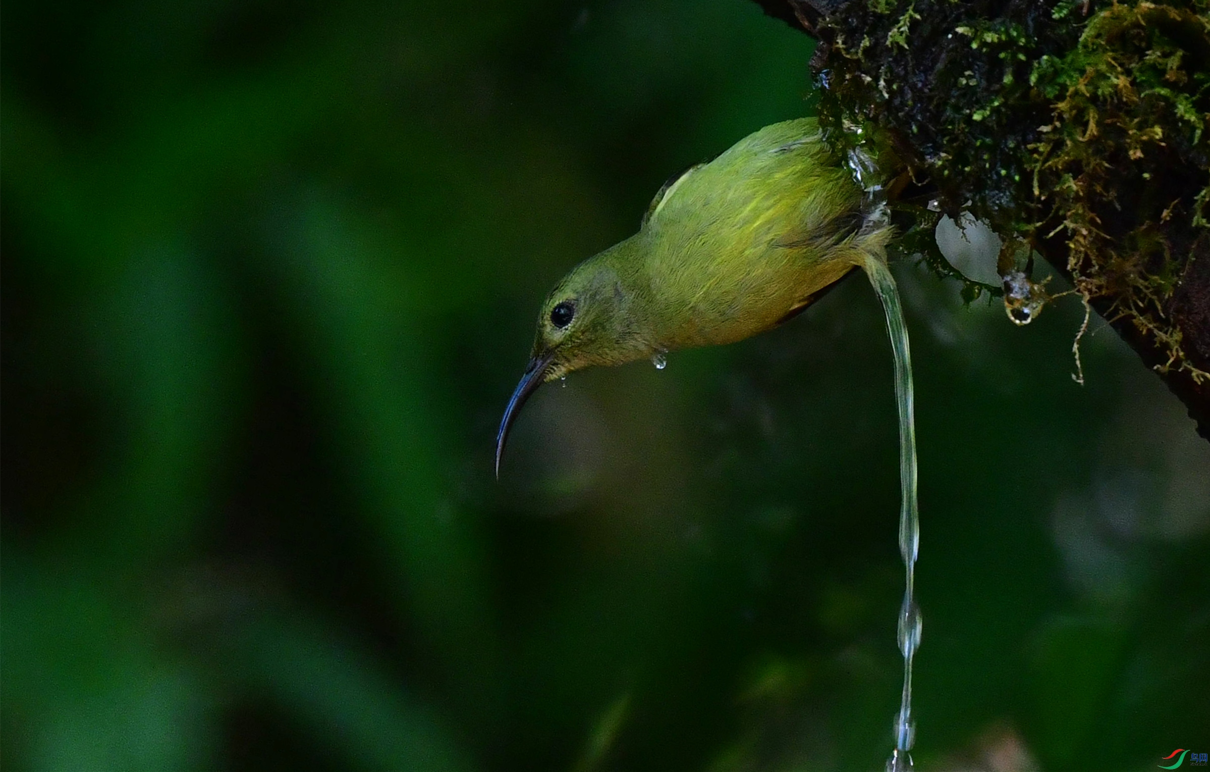 DSC_6271_��ͼ��_����.jpg