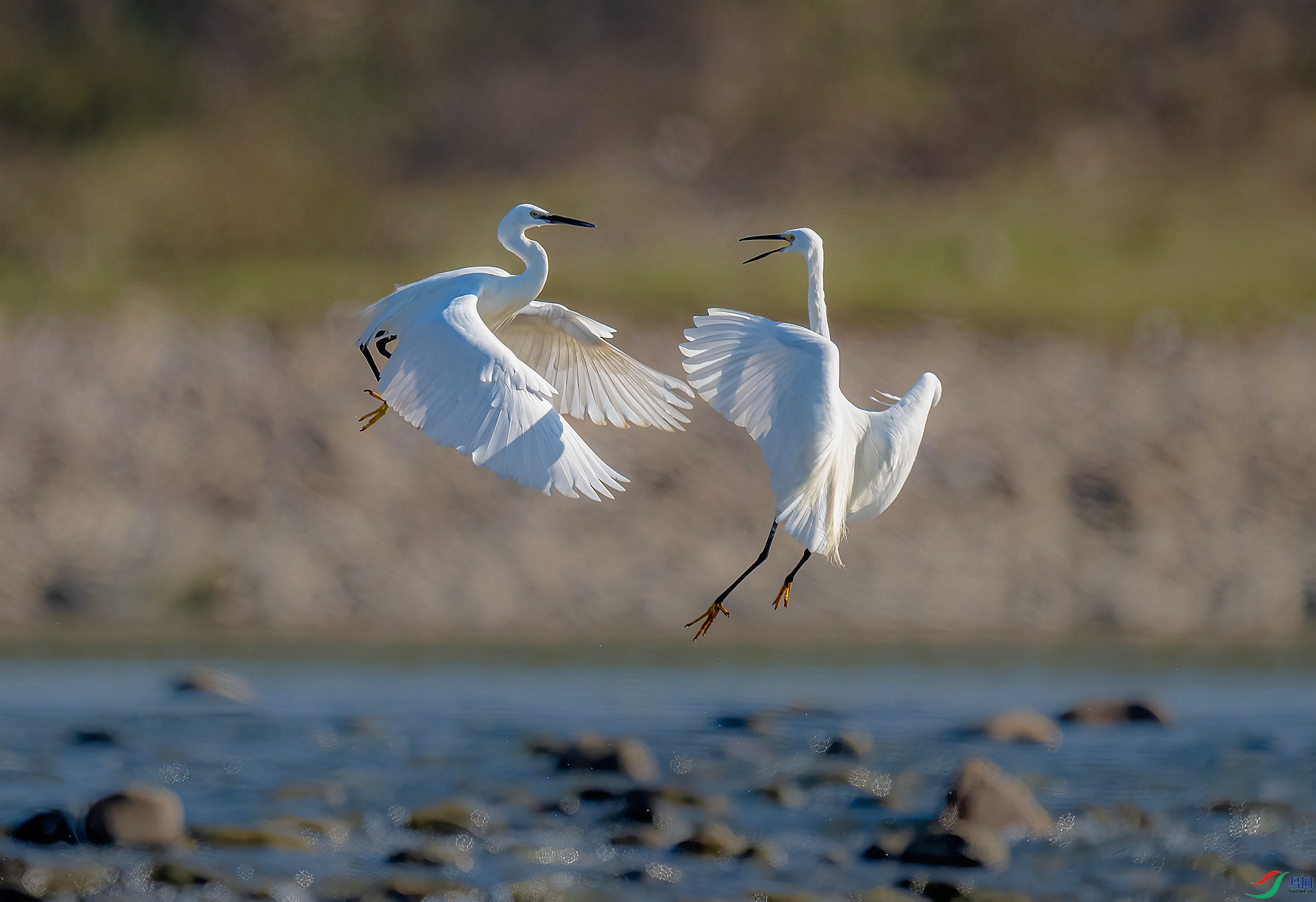 DSC_7679_����.jpg