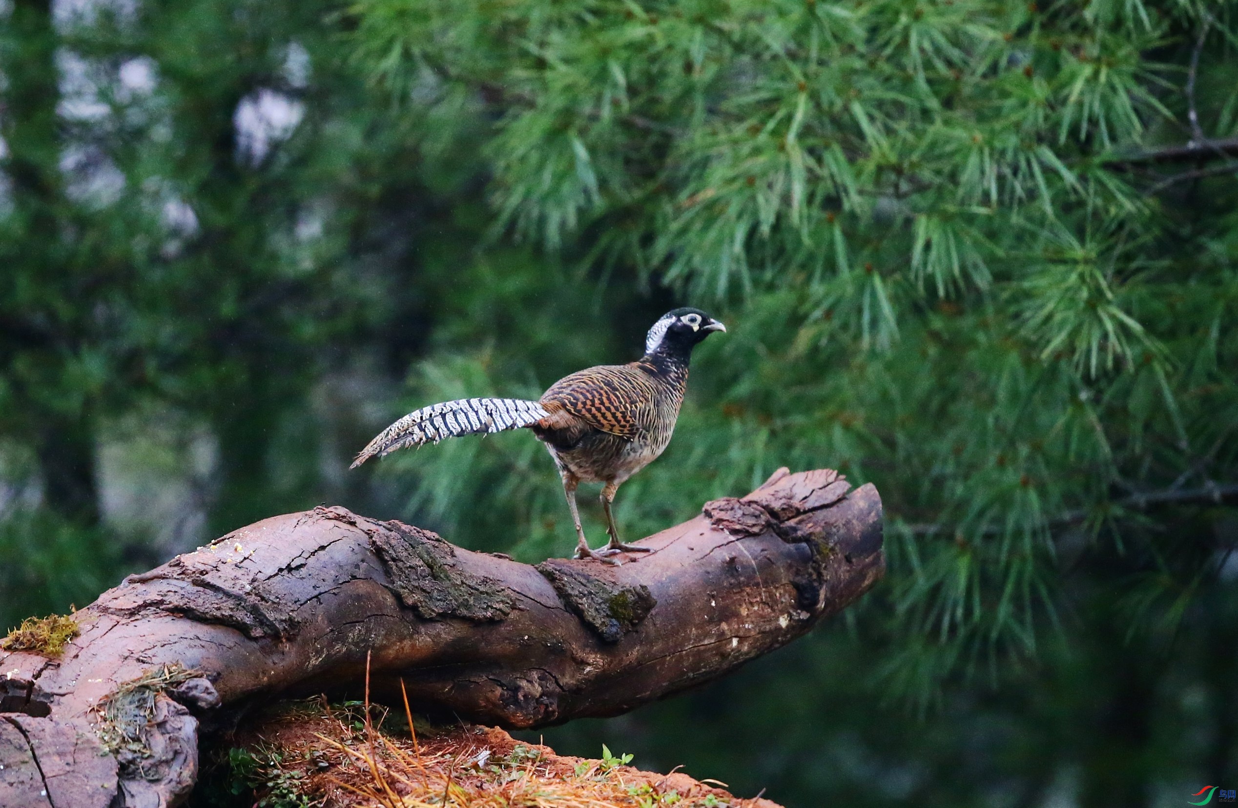 �׸����� (19).JPG