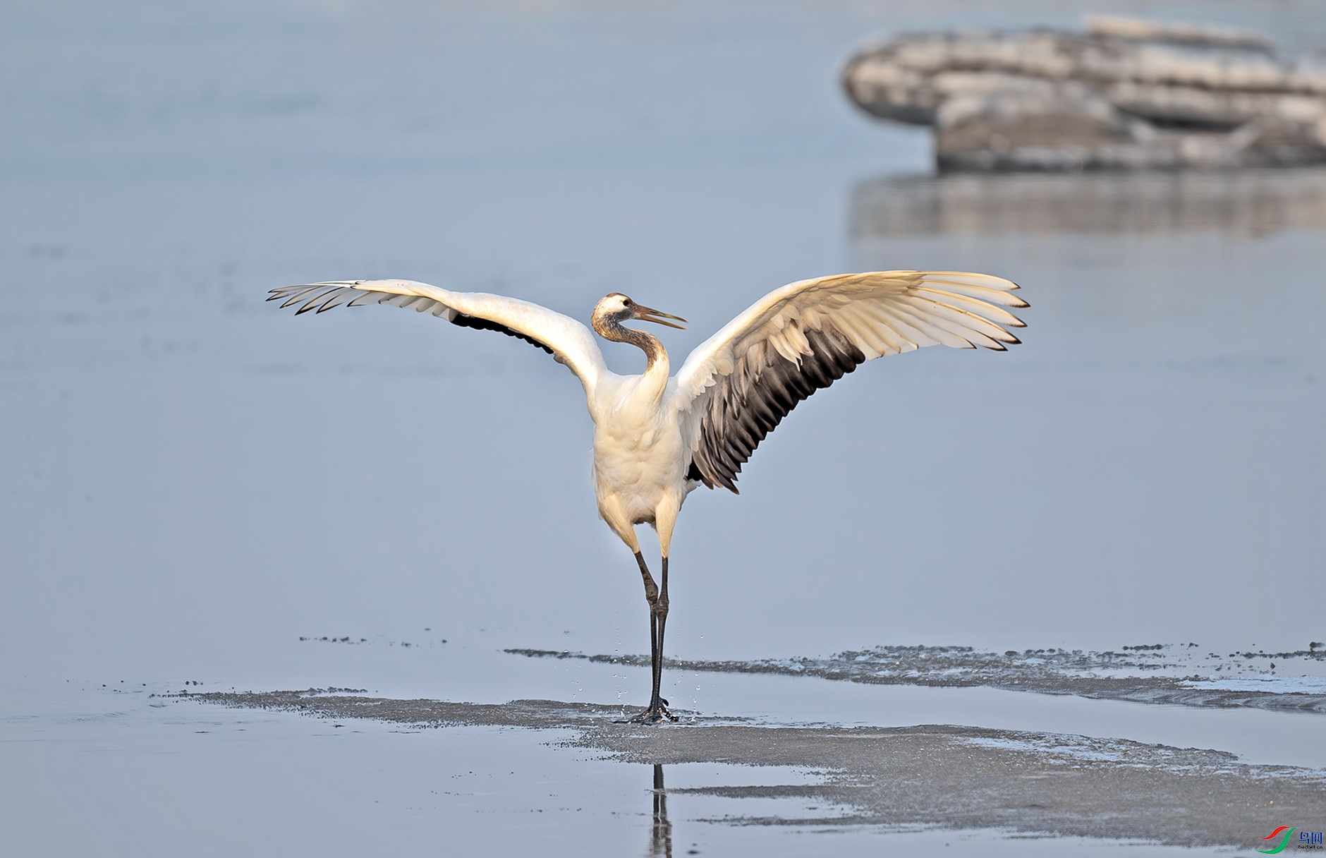 _DSC9430d3.jpg