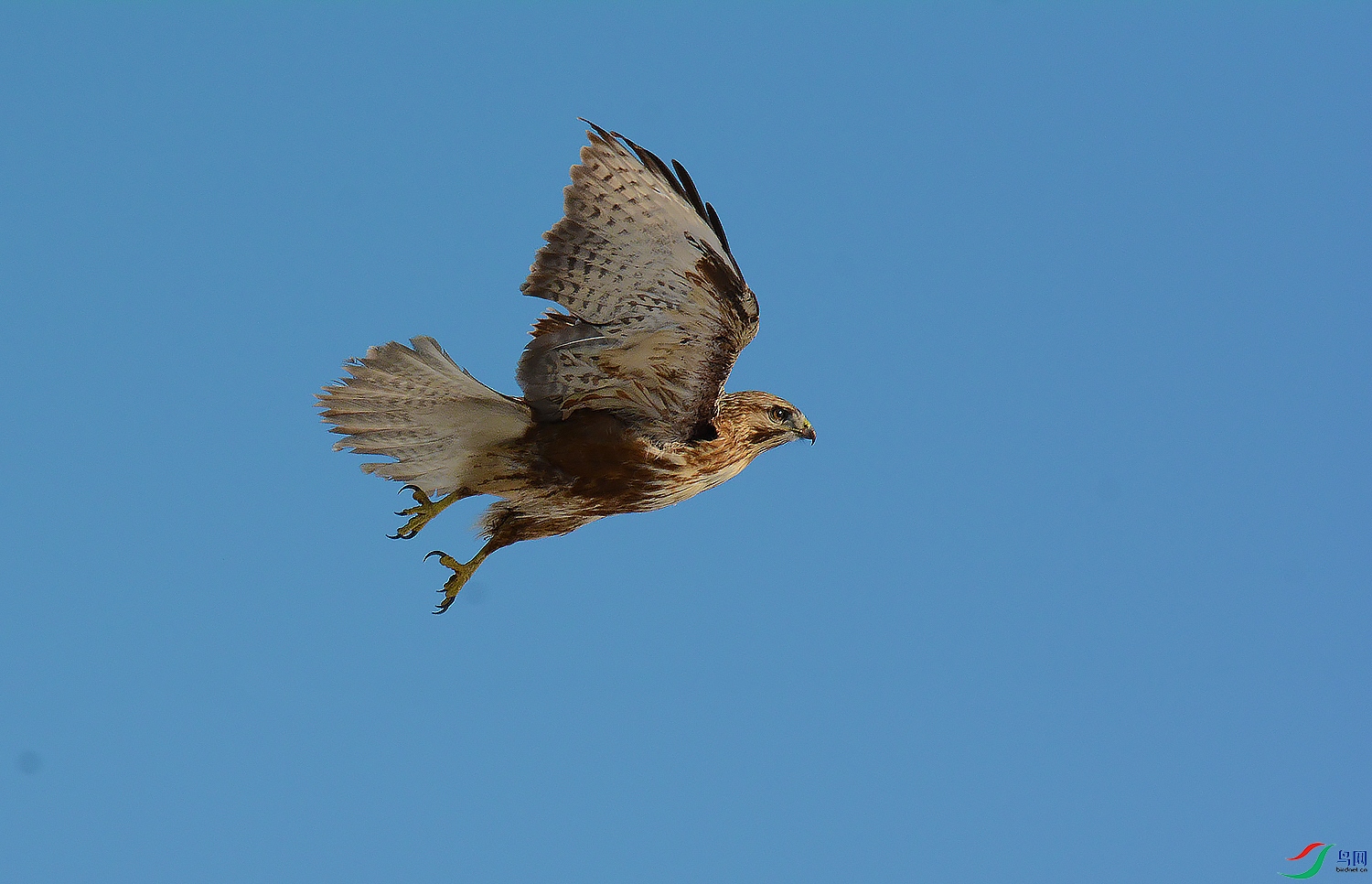 DSC_9900.jpg