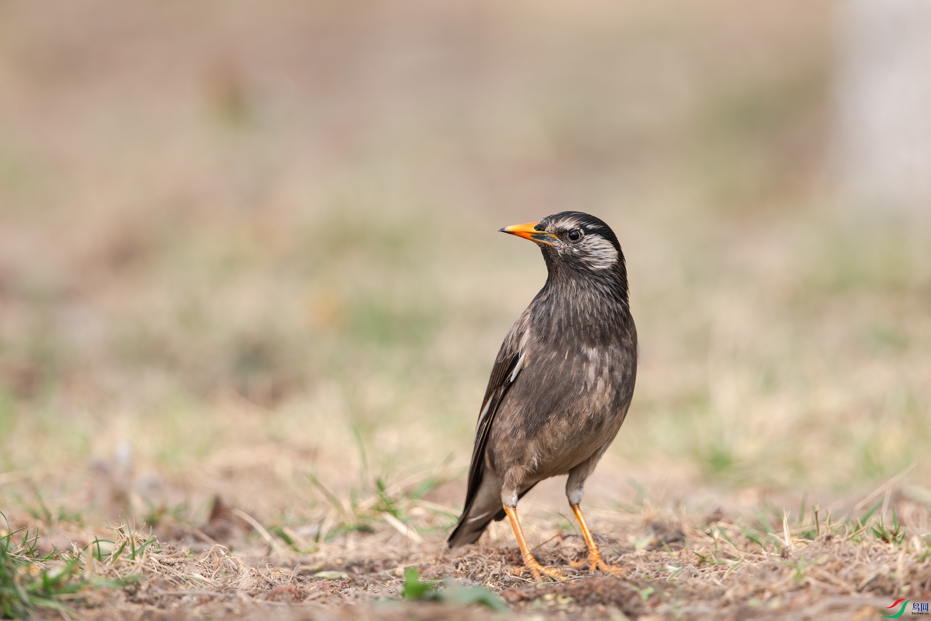 AQ4P0134-1.jpg