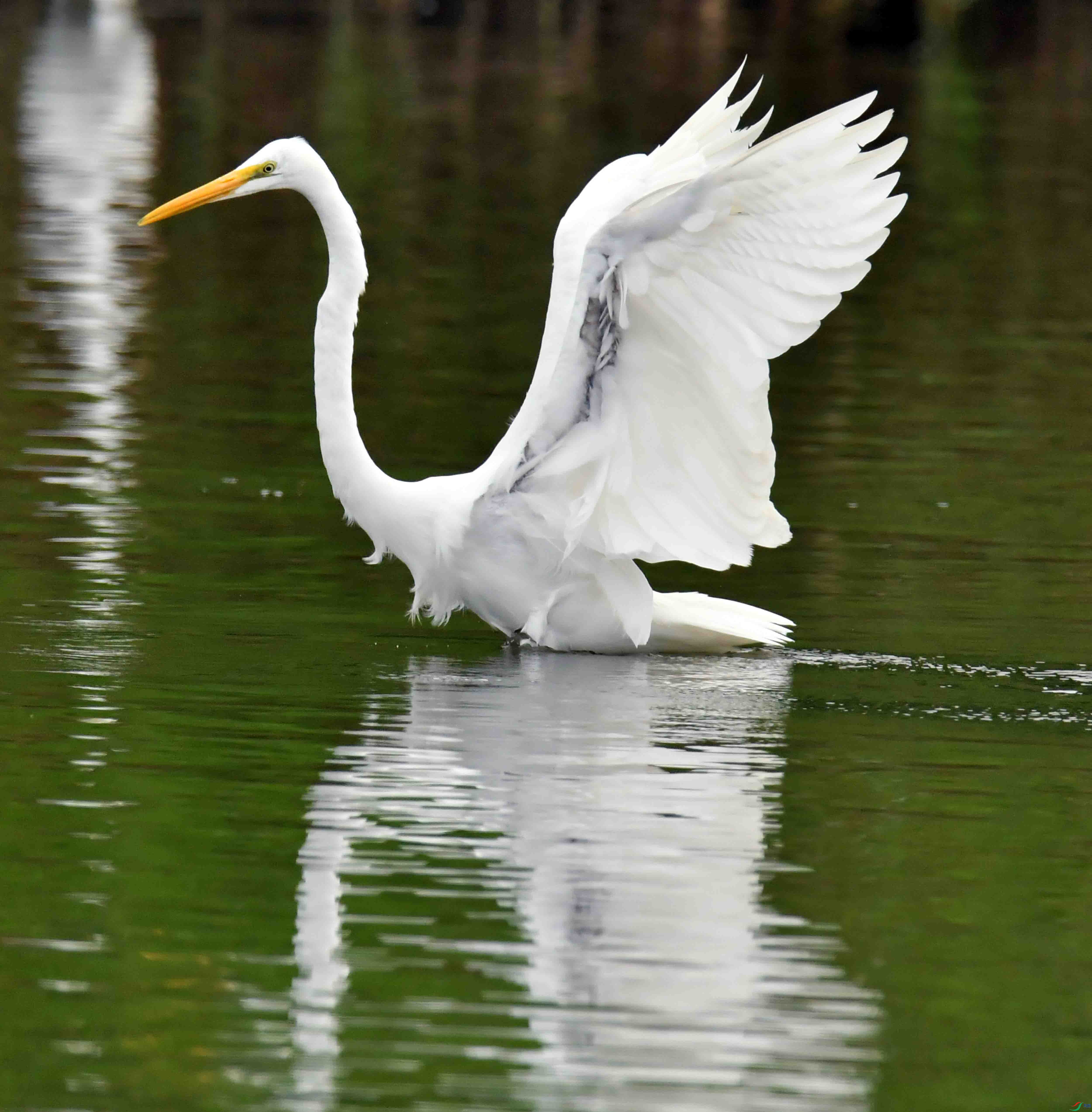 DSC_5162.JPG