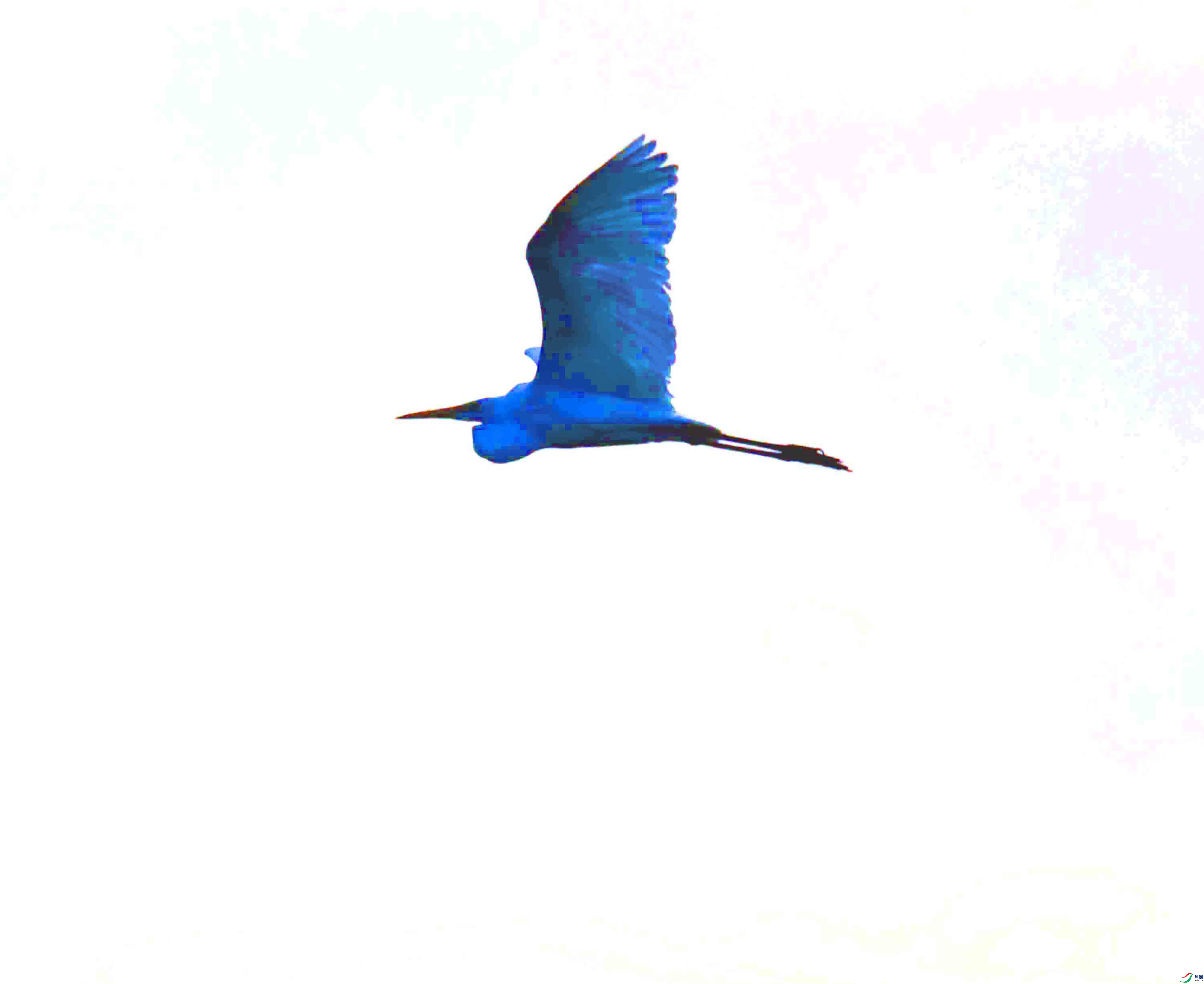 DSC_5182.JPG