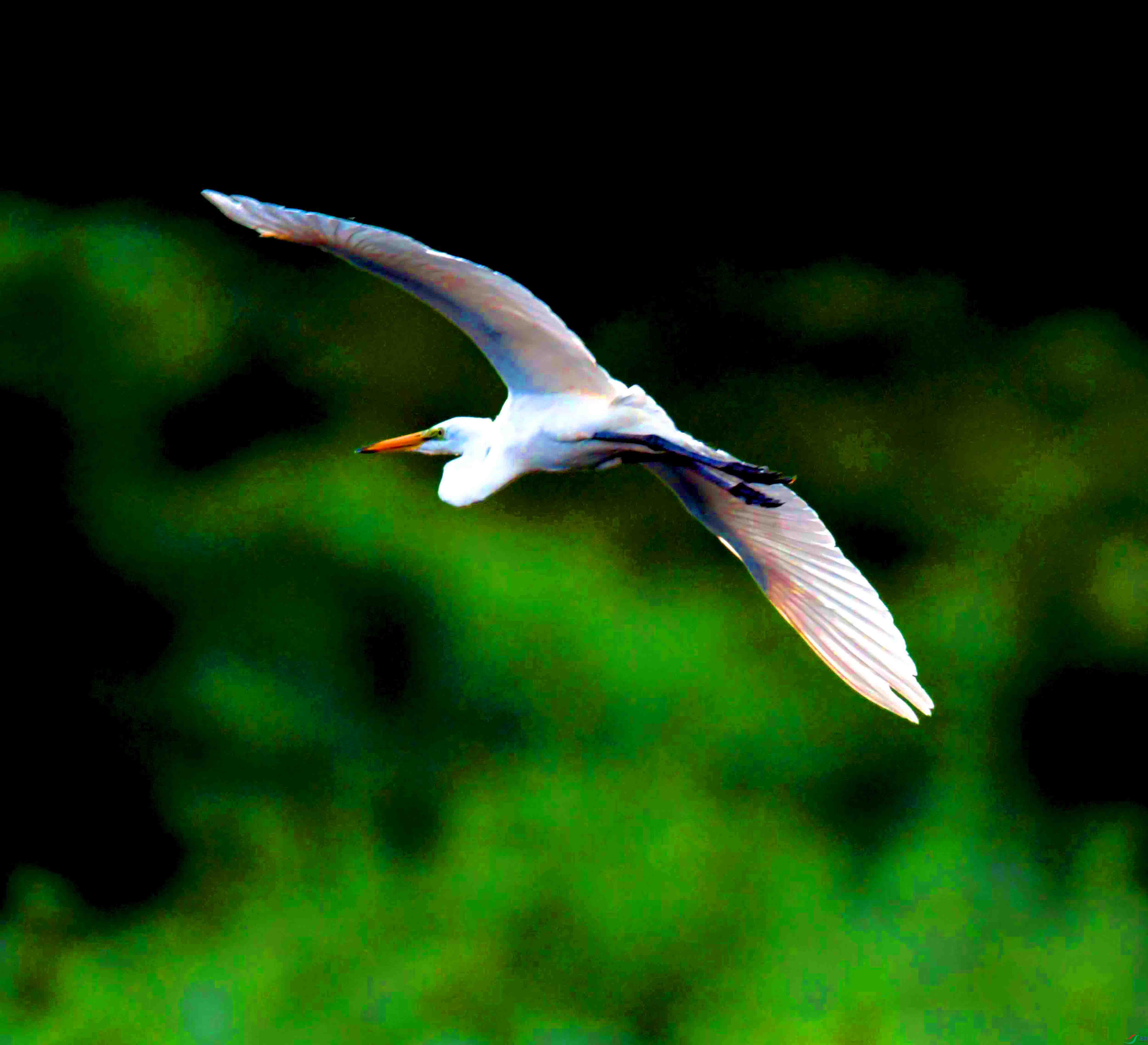 DSC_5187.JPG