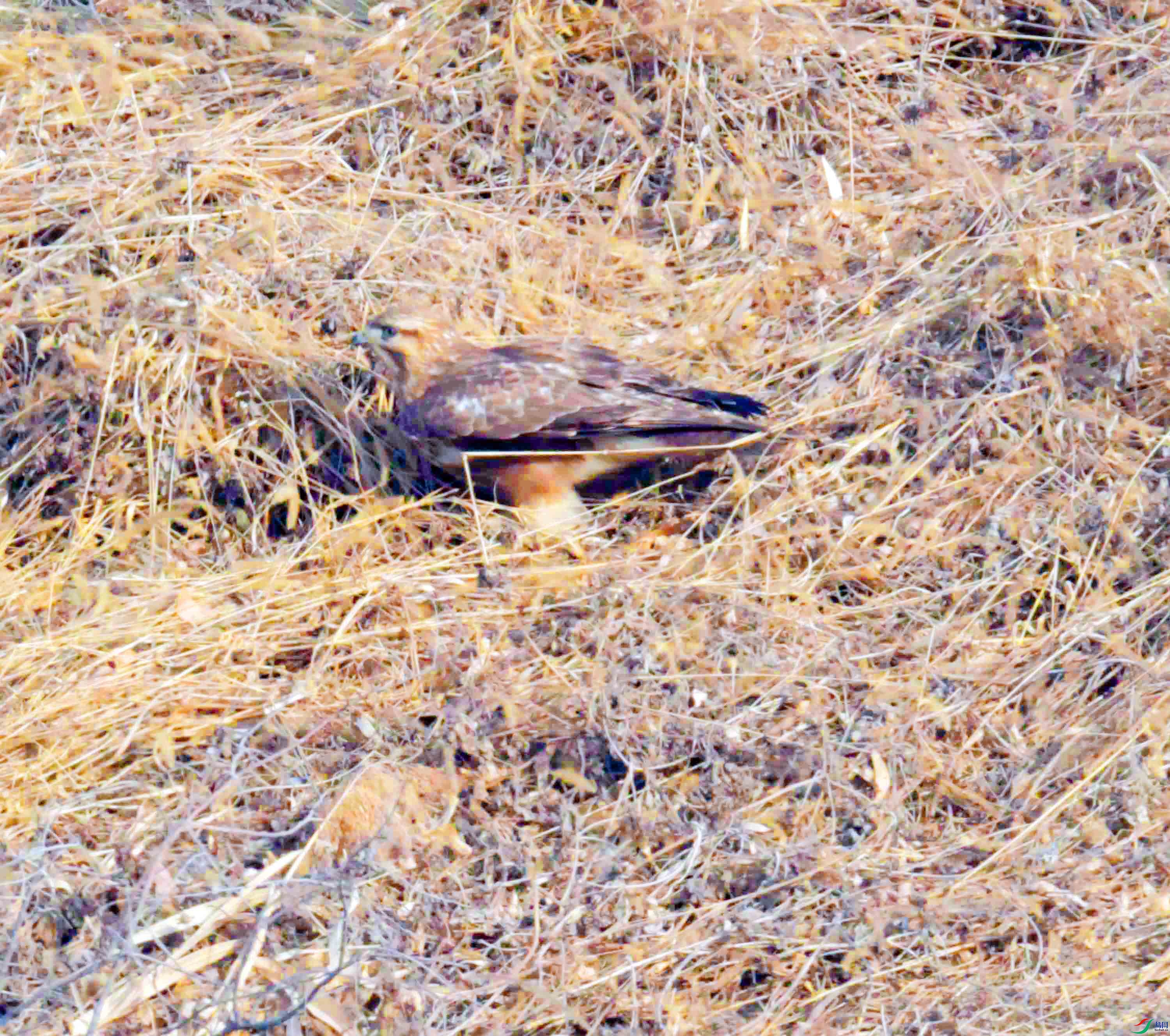 DSC_3608.JPG