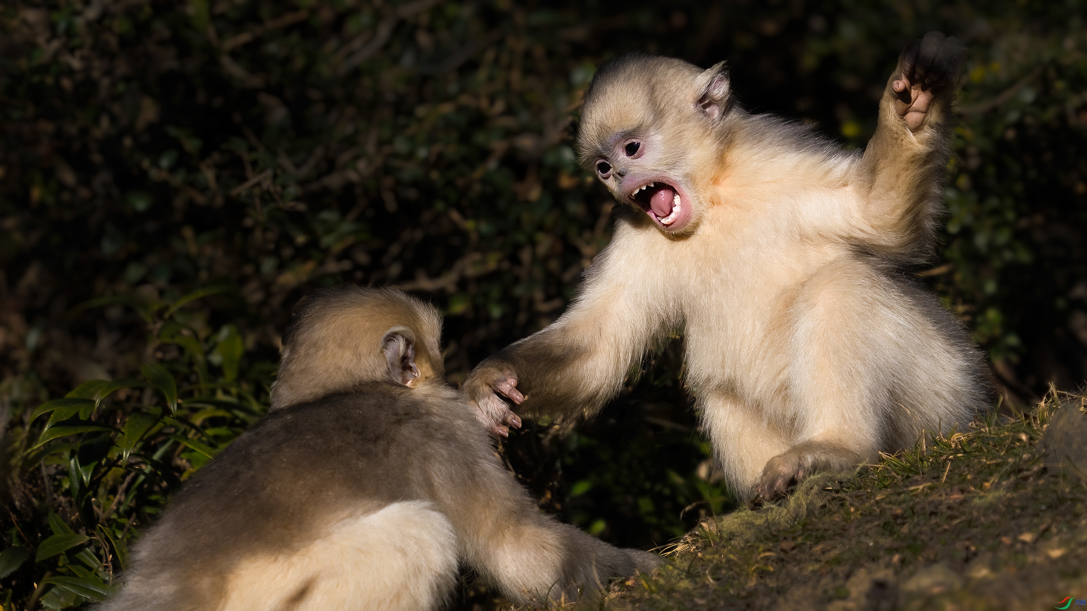 DSC06688 ����.jpg