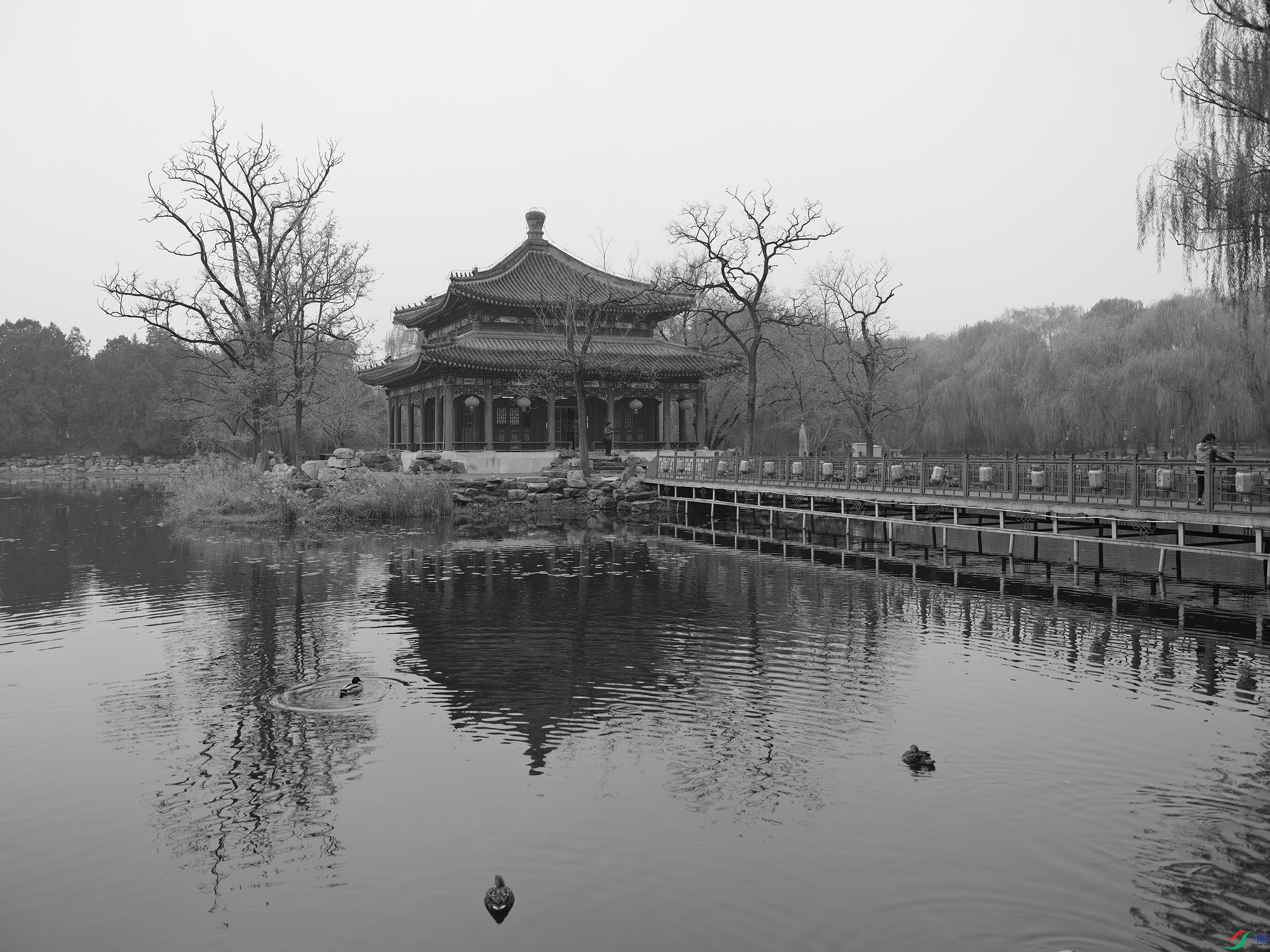 DSCF0081 ����.jpg