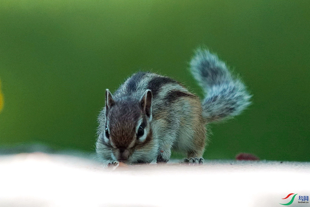 DSC00713_����.jpg