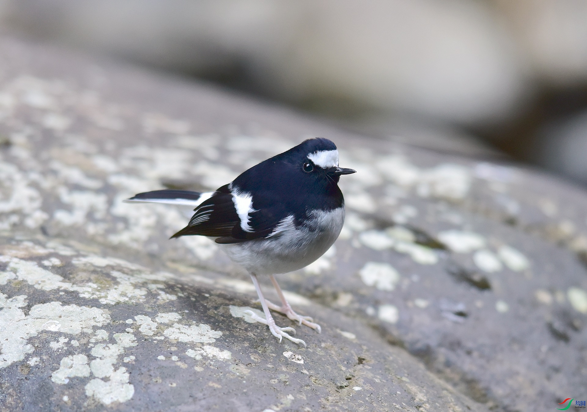D8I_2291.jpg