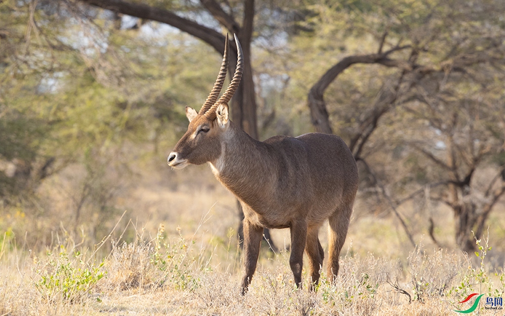 ˮ���� (3).jpg