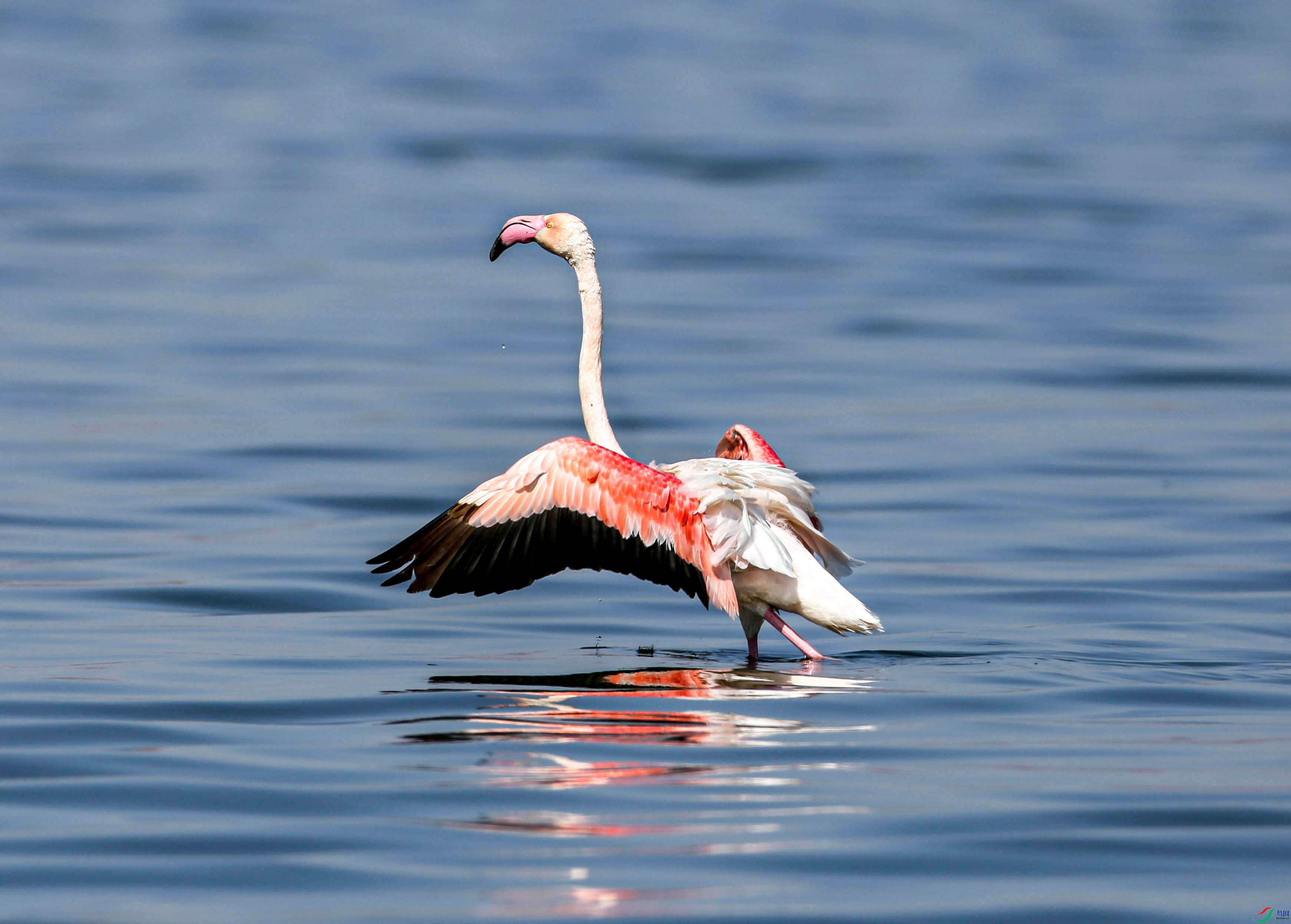 Canon EOS 5D Mark III_20180221_120208.Id_6c0000000000e83.jpg