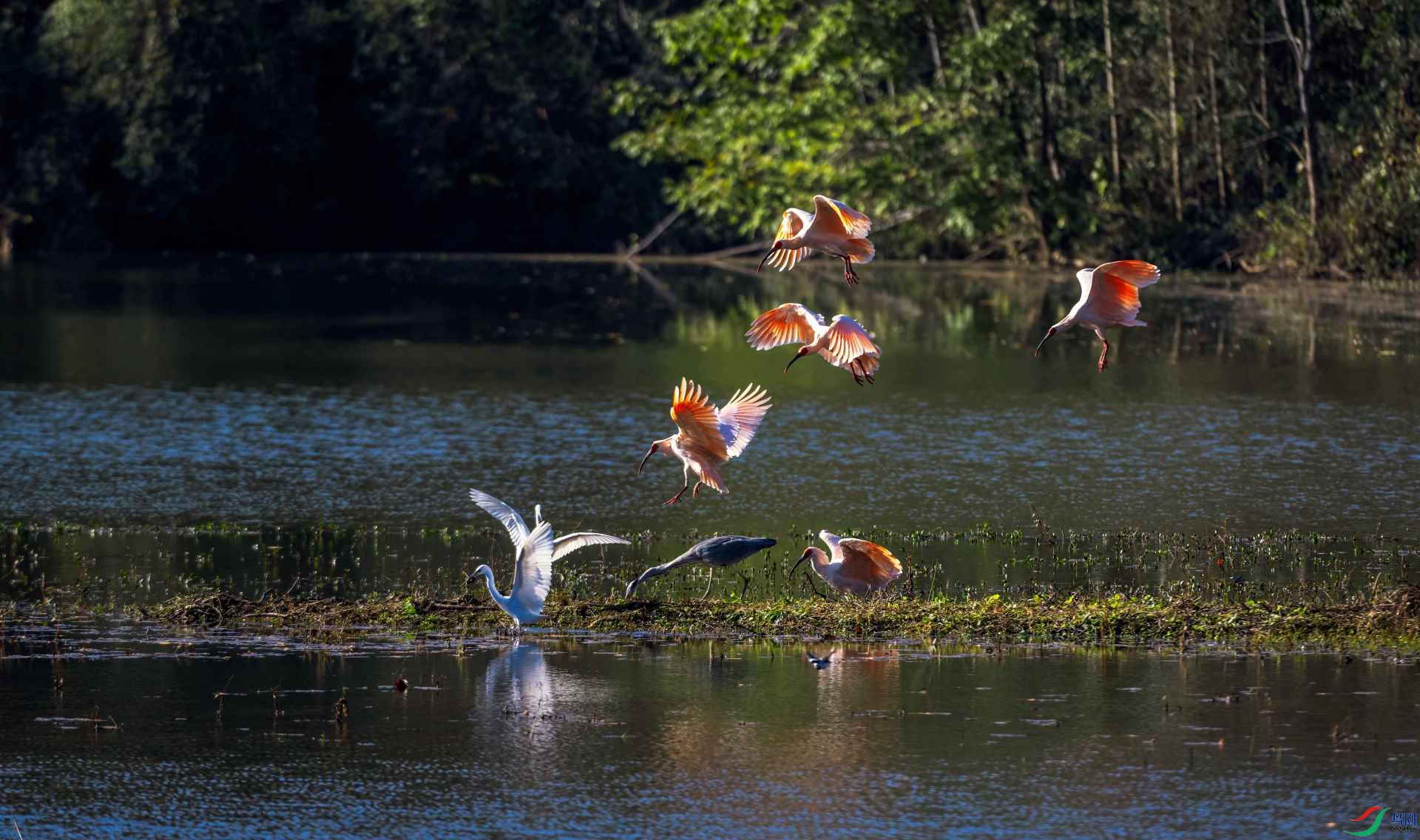 DSC_8568 ���� 2.jpg