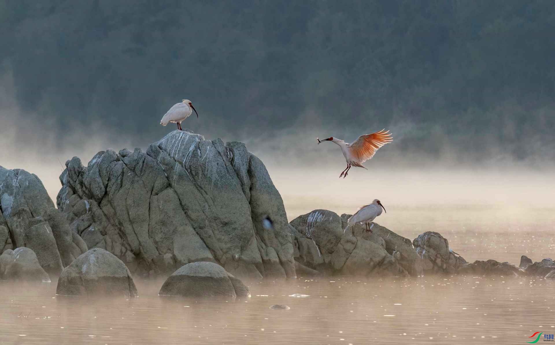 DSC_7520 ����.jpg