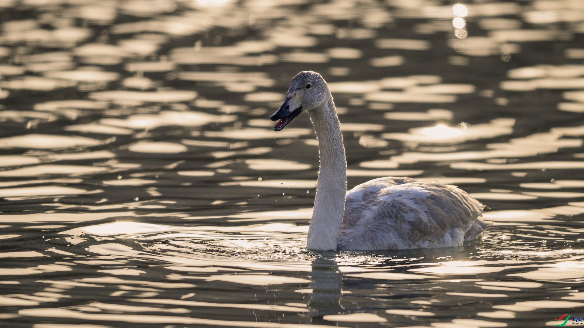 1_DSC3865 ����.jpeg