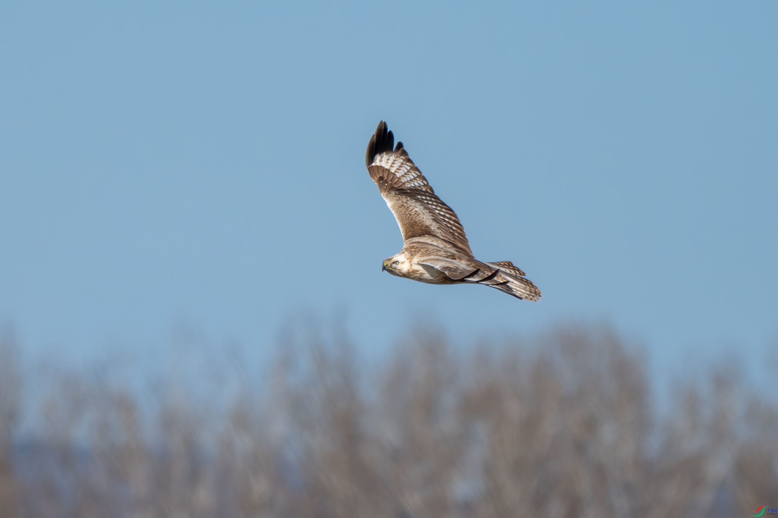 DSC_1729.jpg