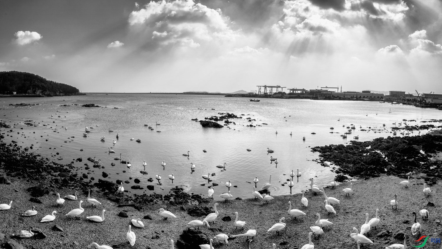 _DSC2200-Pano-1 ����-����ǿ.jpg
