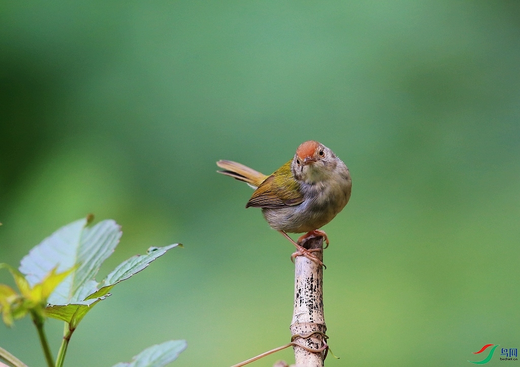 ���� IMGL0186.JPG