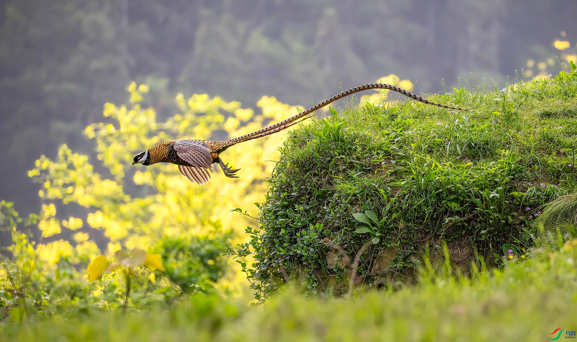 407A1012 ����-Sh---1 .jpg