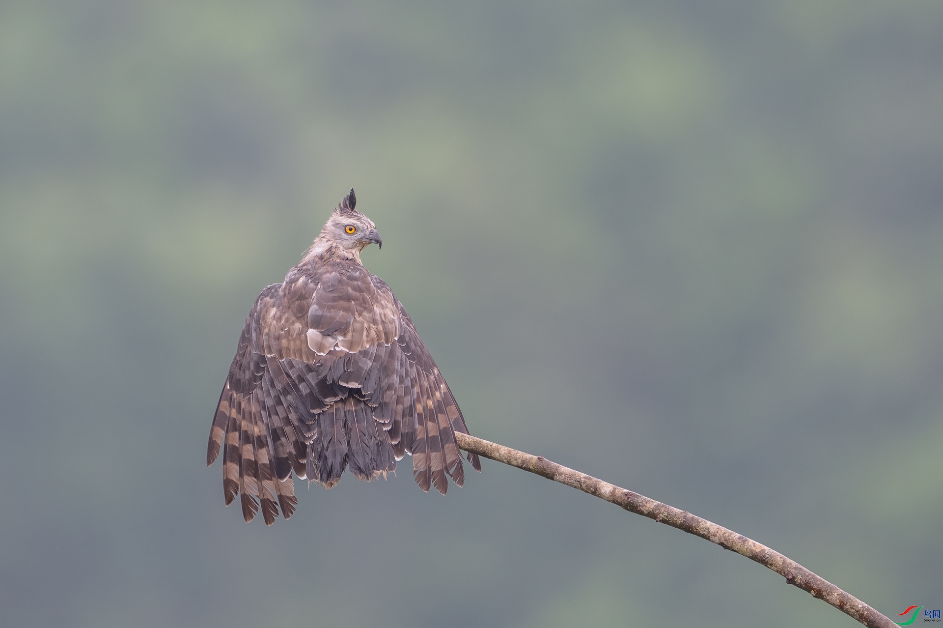 DSC_3028-1.jpg
